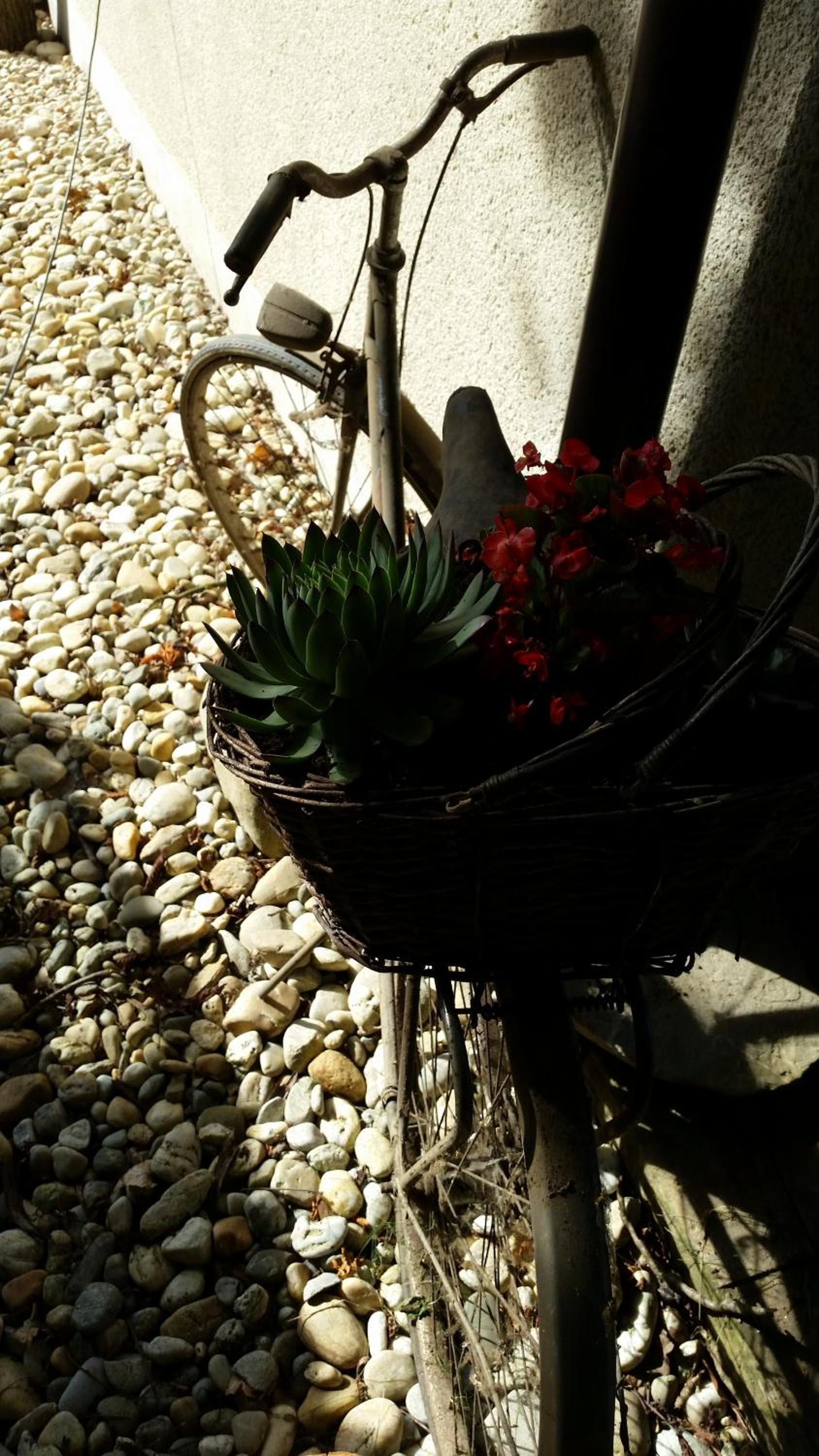 Photo 46