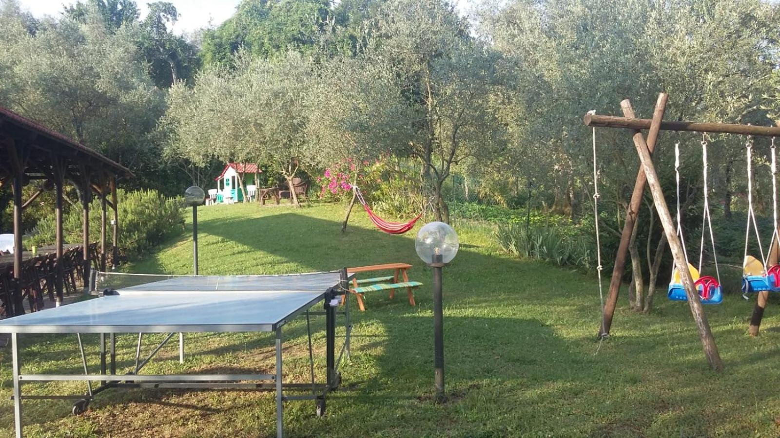 Photo 41