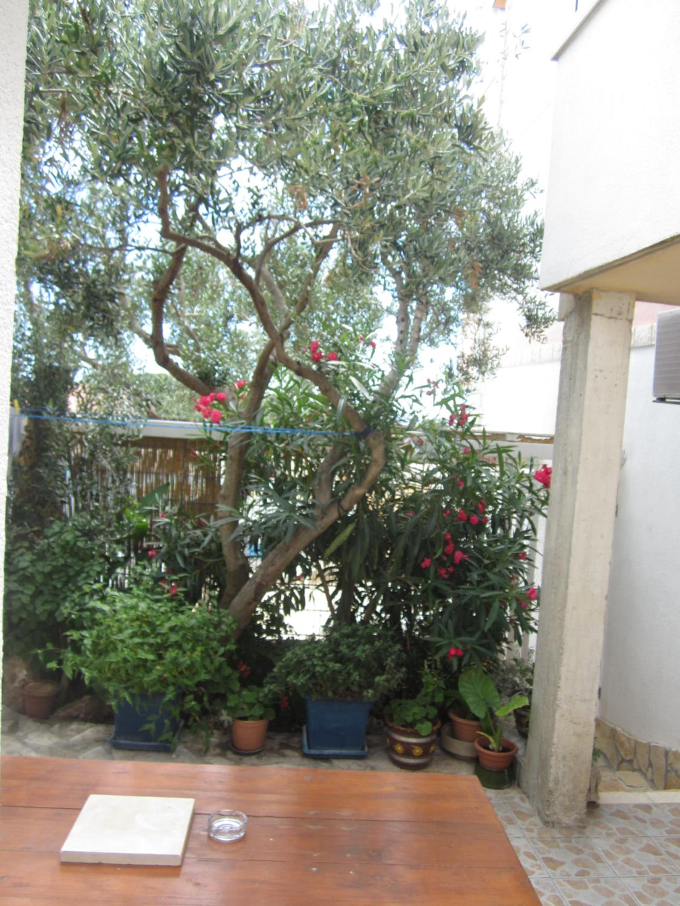 Photo 46