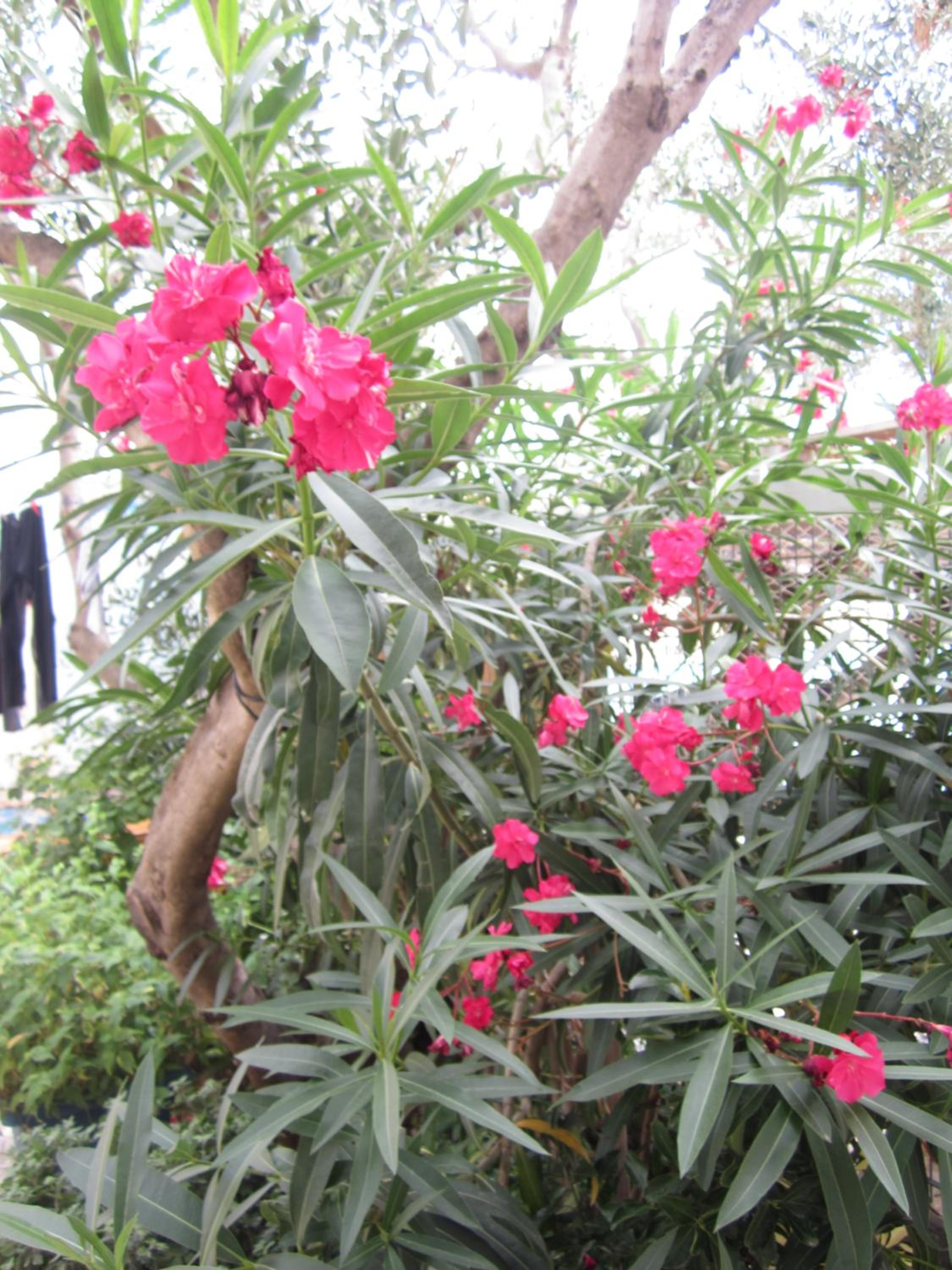 Photo 47