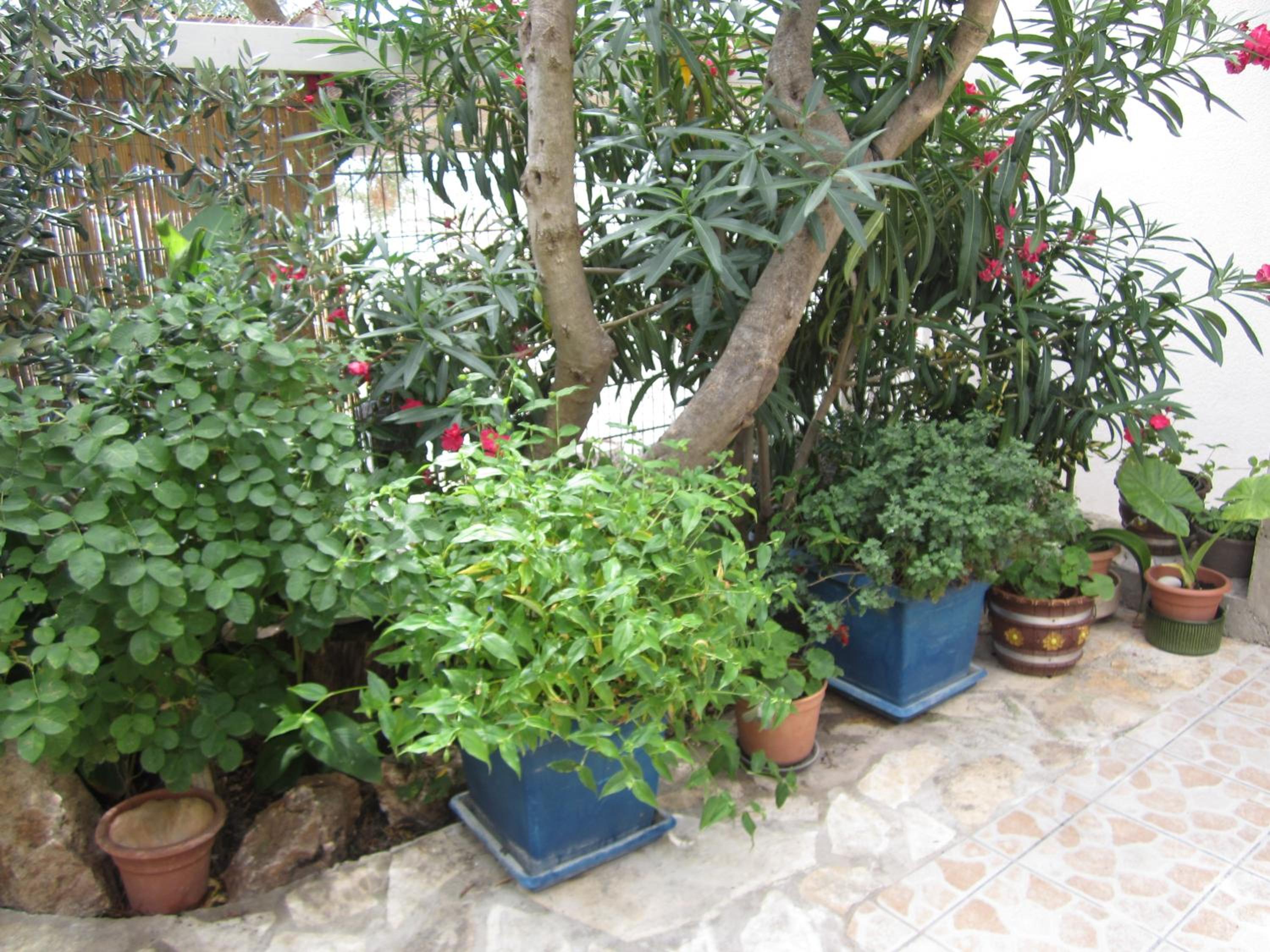 Photo 49