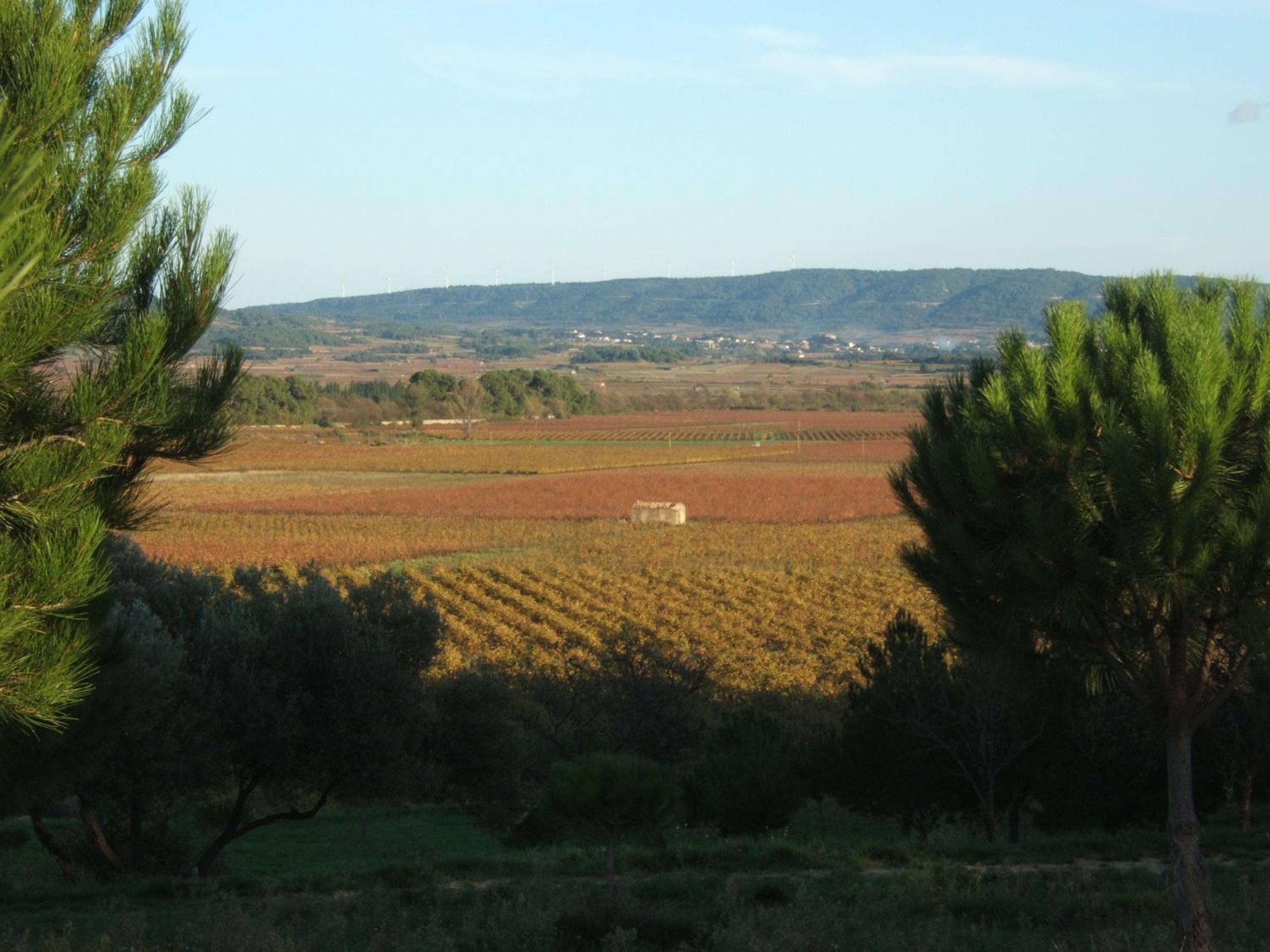 Gite la Tour view 3