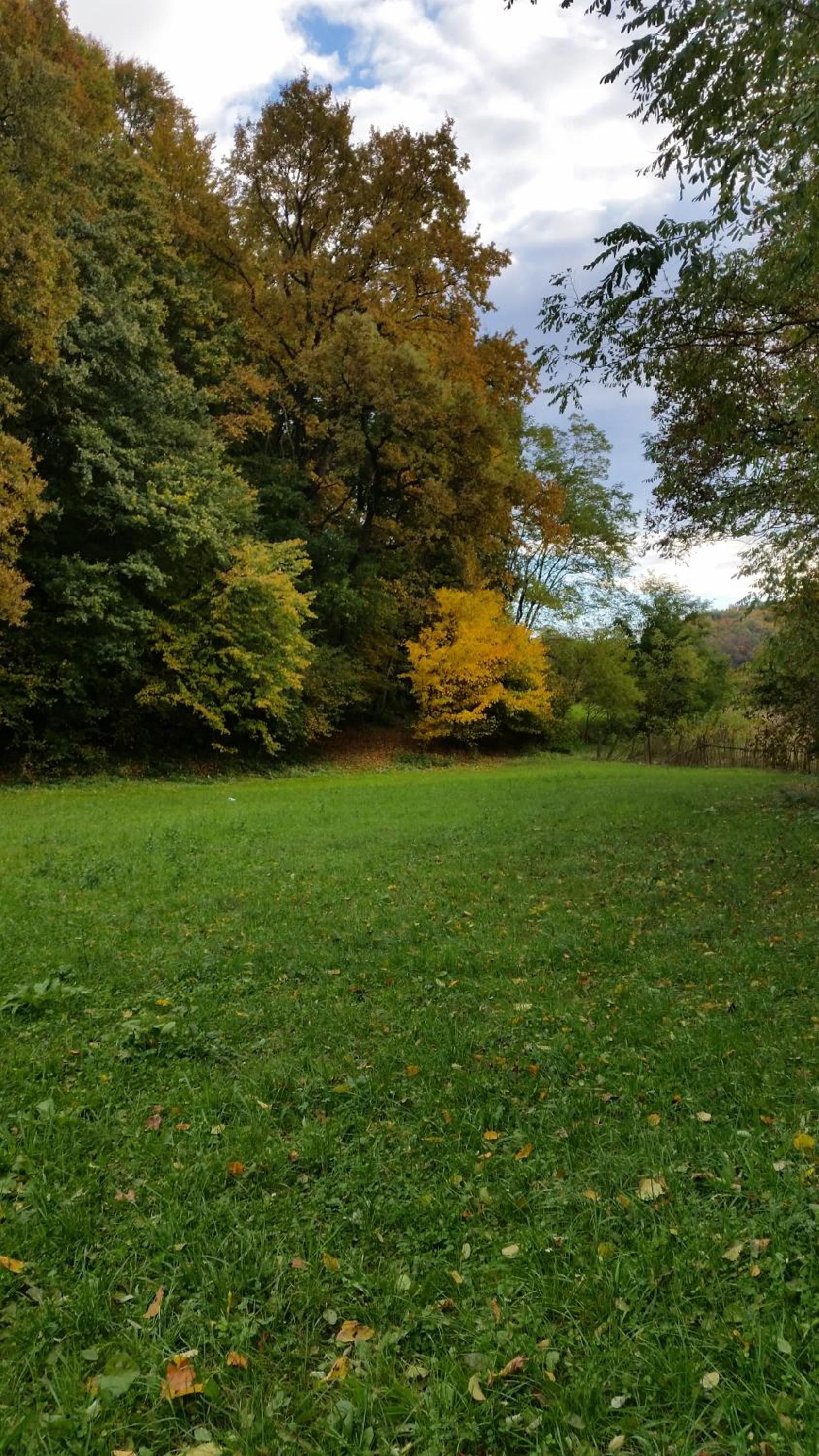 Photo 45