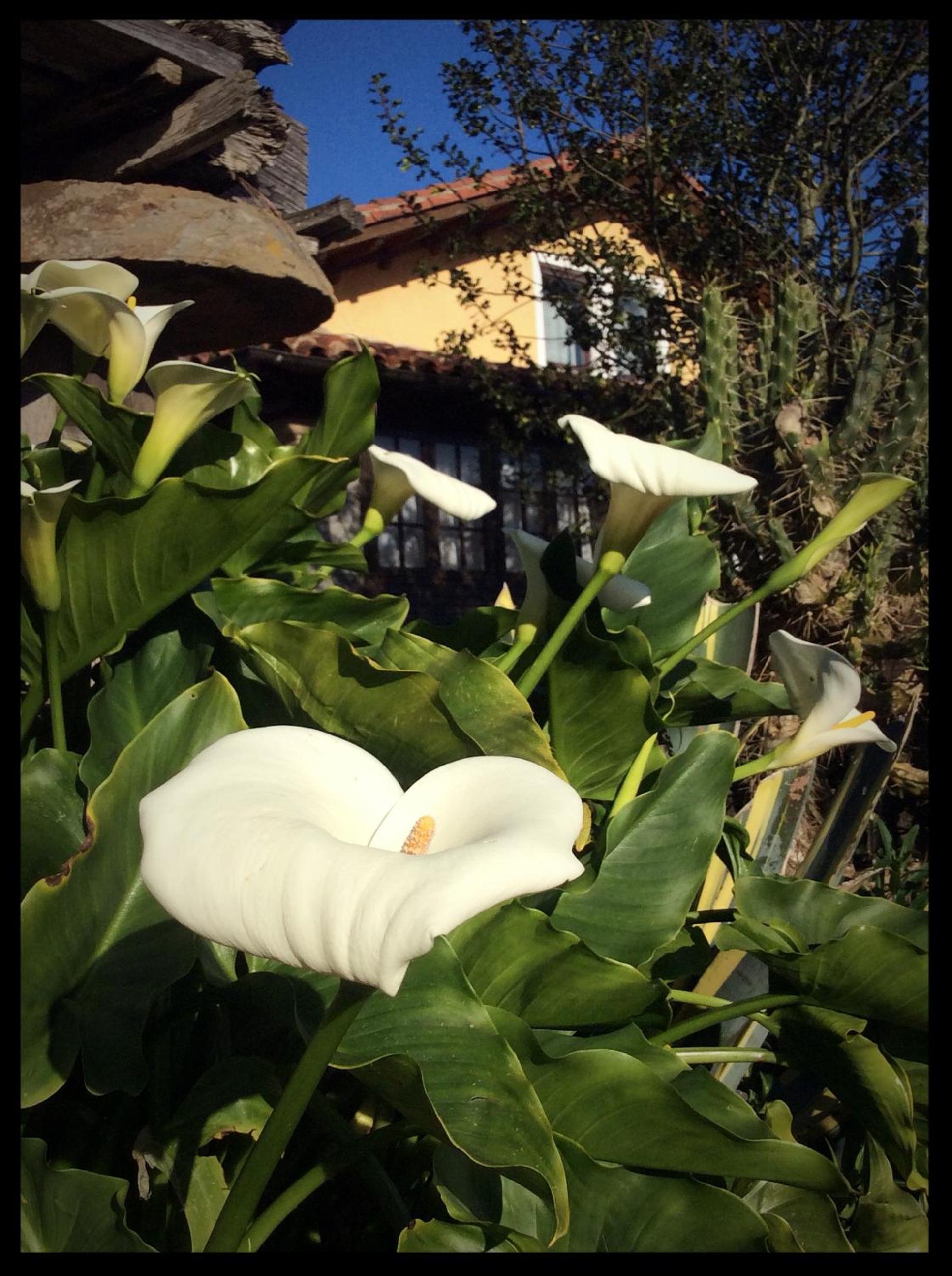 Photo 52