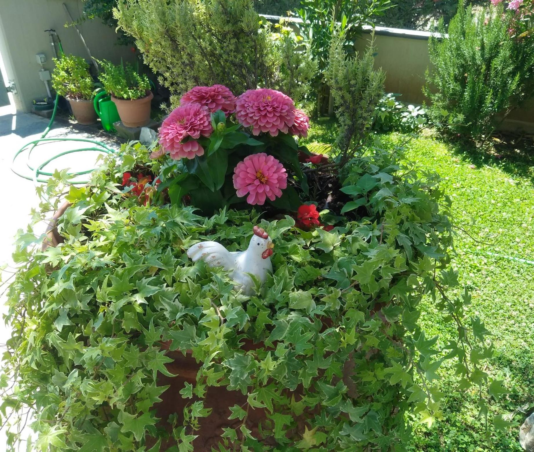 Appartamento Berlicche view 5