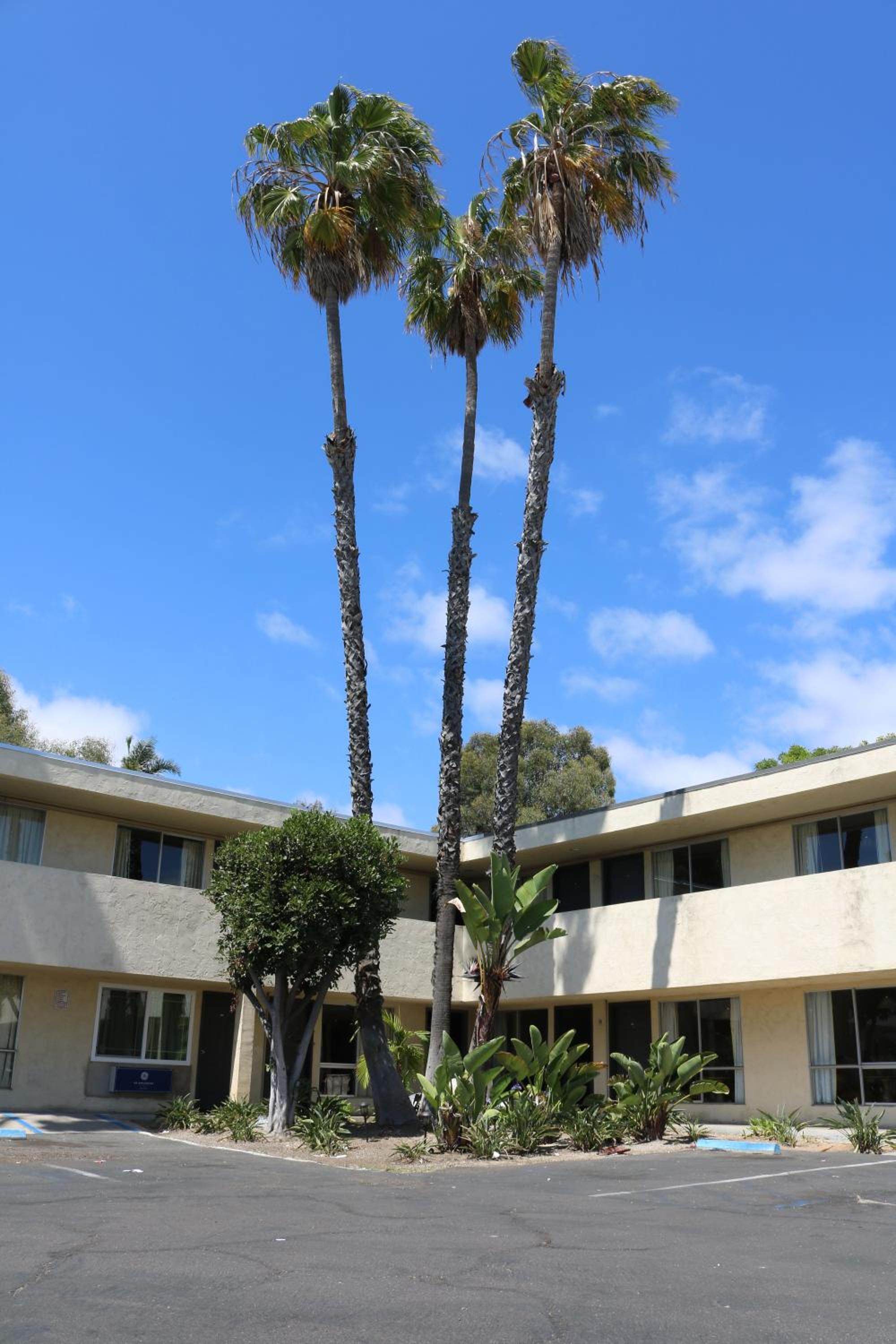 Valli Hi Motel - Property Image 19