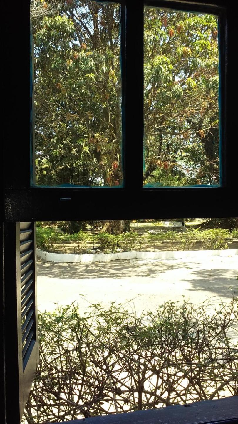 Photo 13