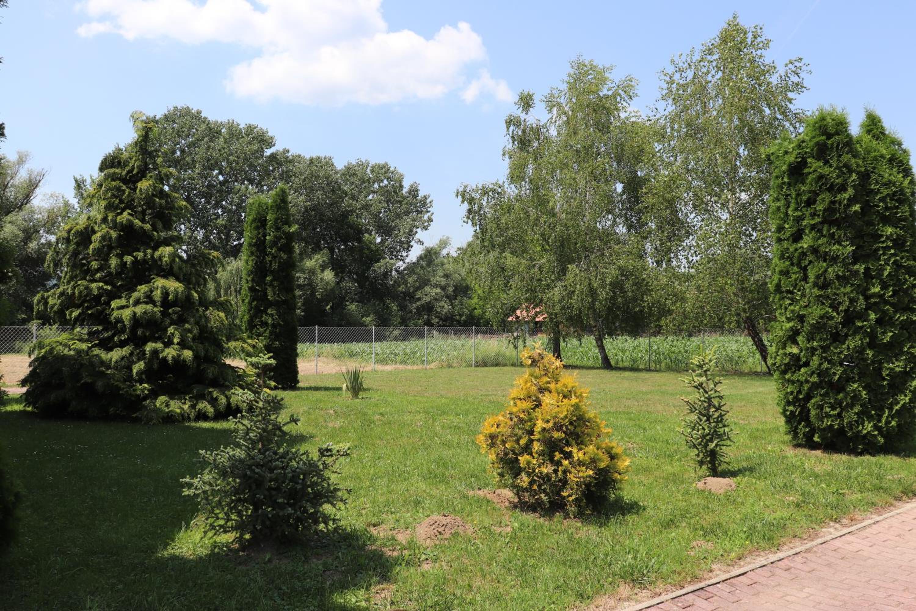 Liget Apartmanház view 2