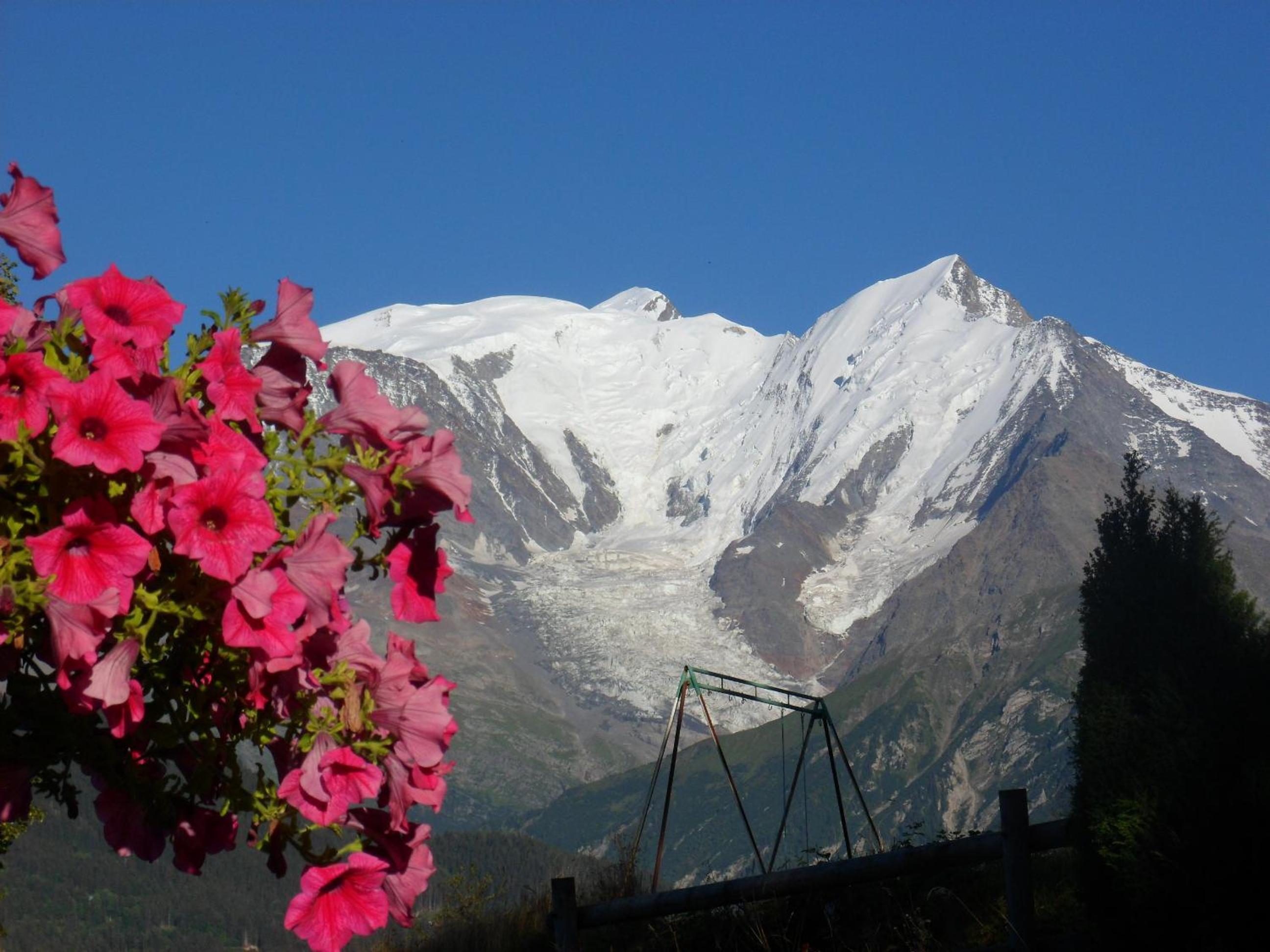 Photo 46