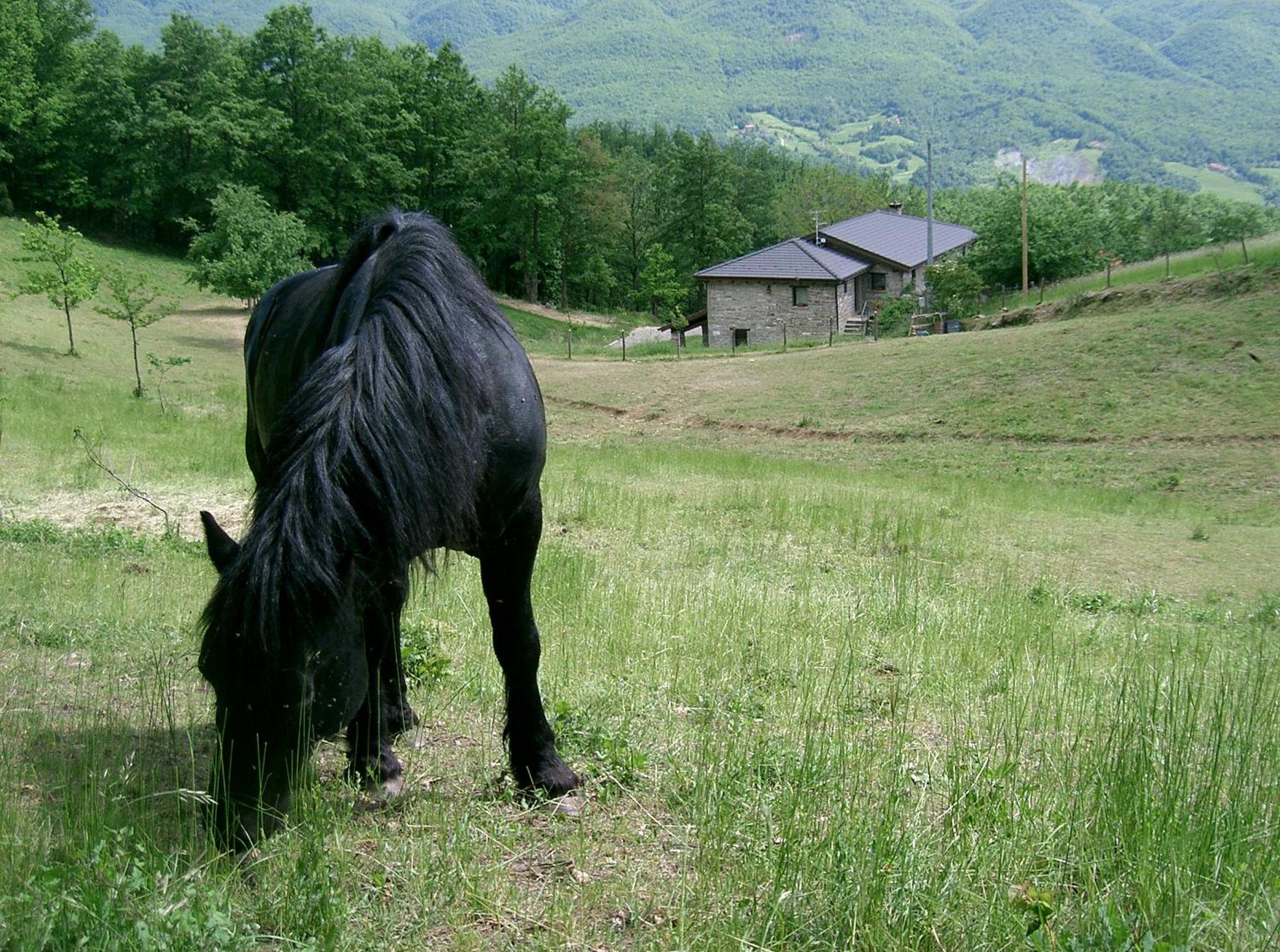Agriturismo Le Querciole view 5