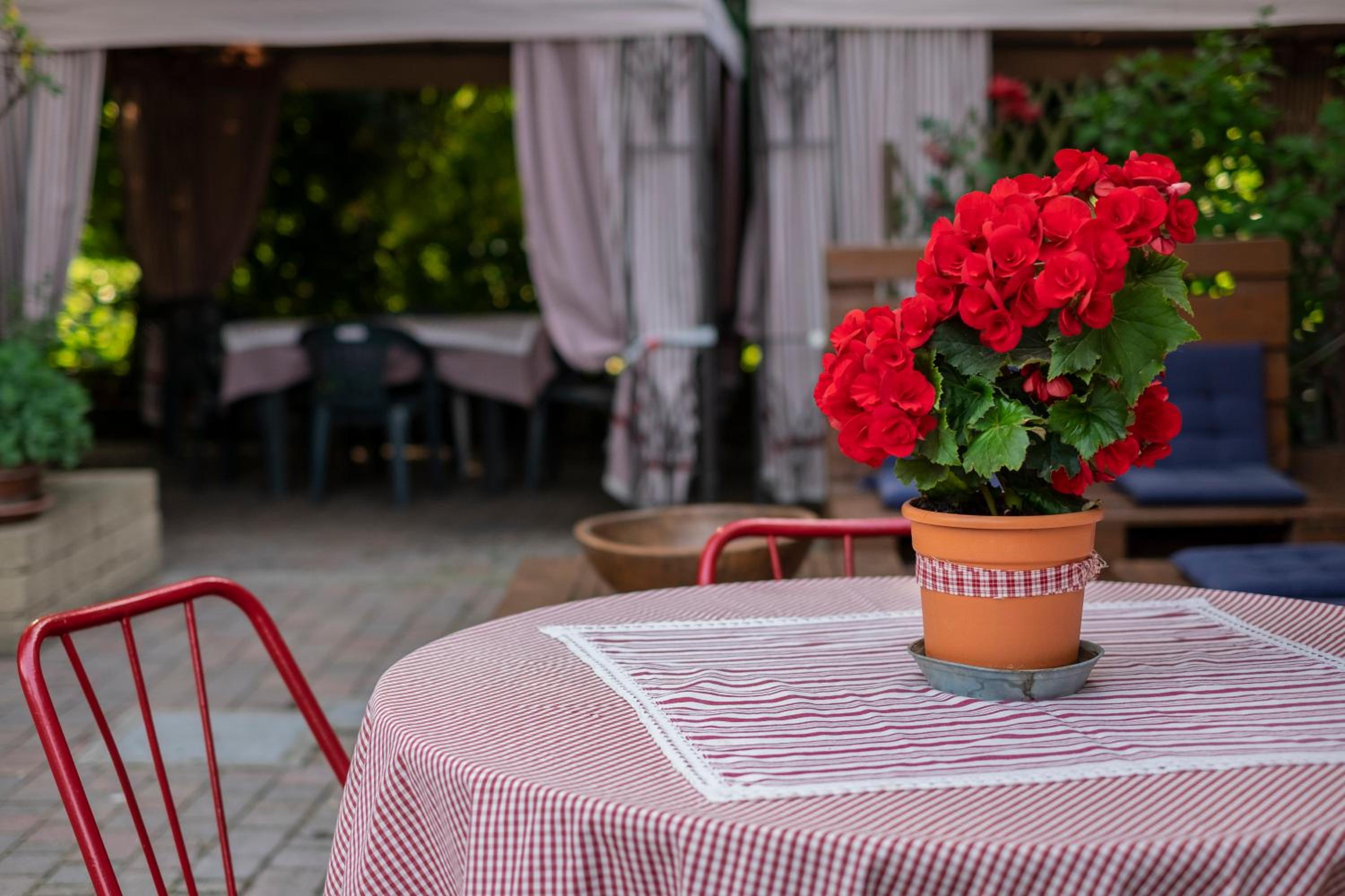 Ai Due Pini B&B view 4