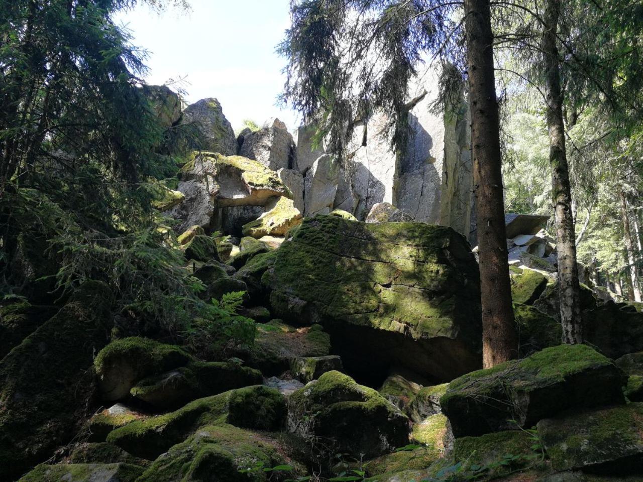 Photo 24