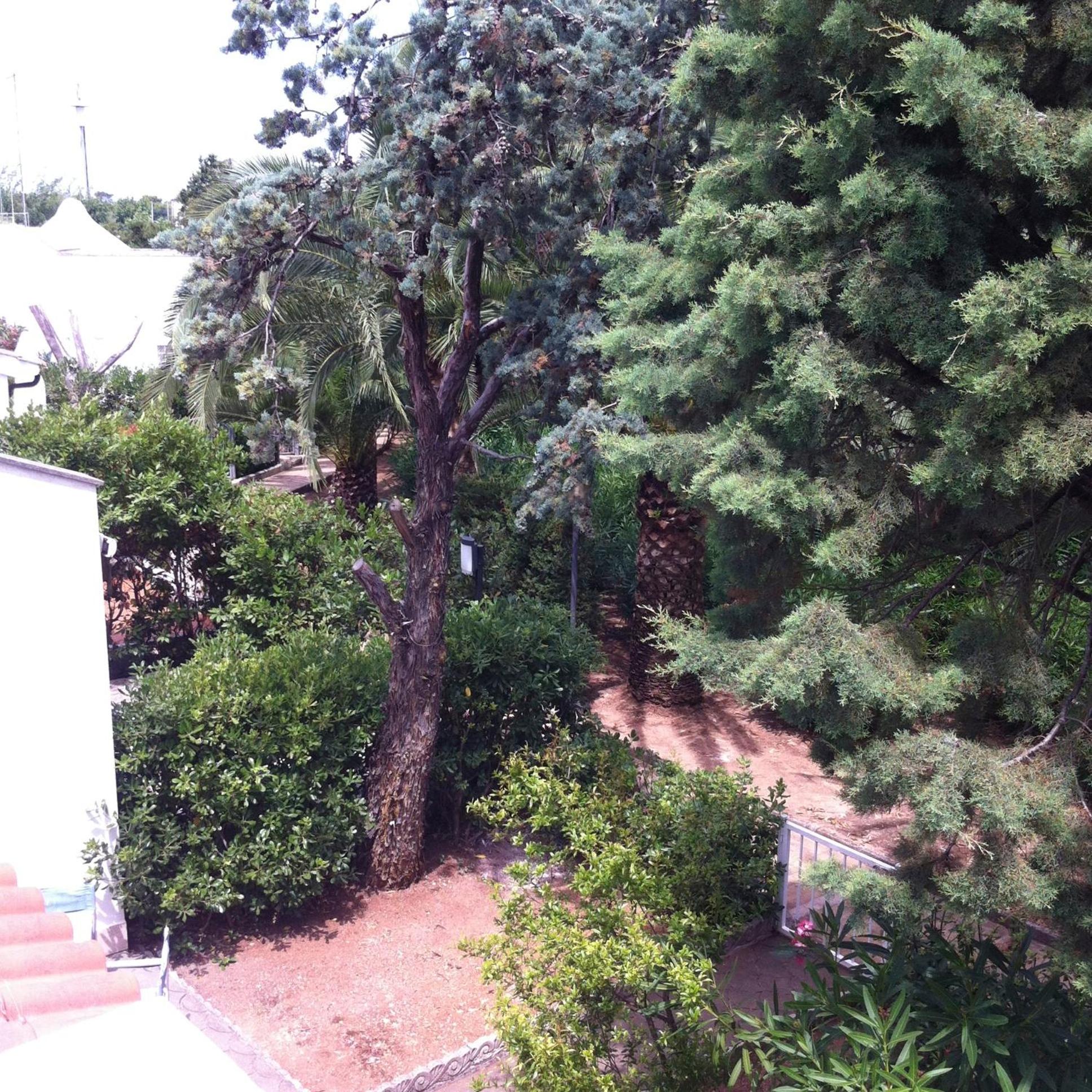 Photo 20
