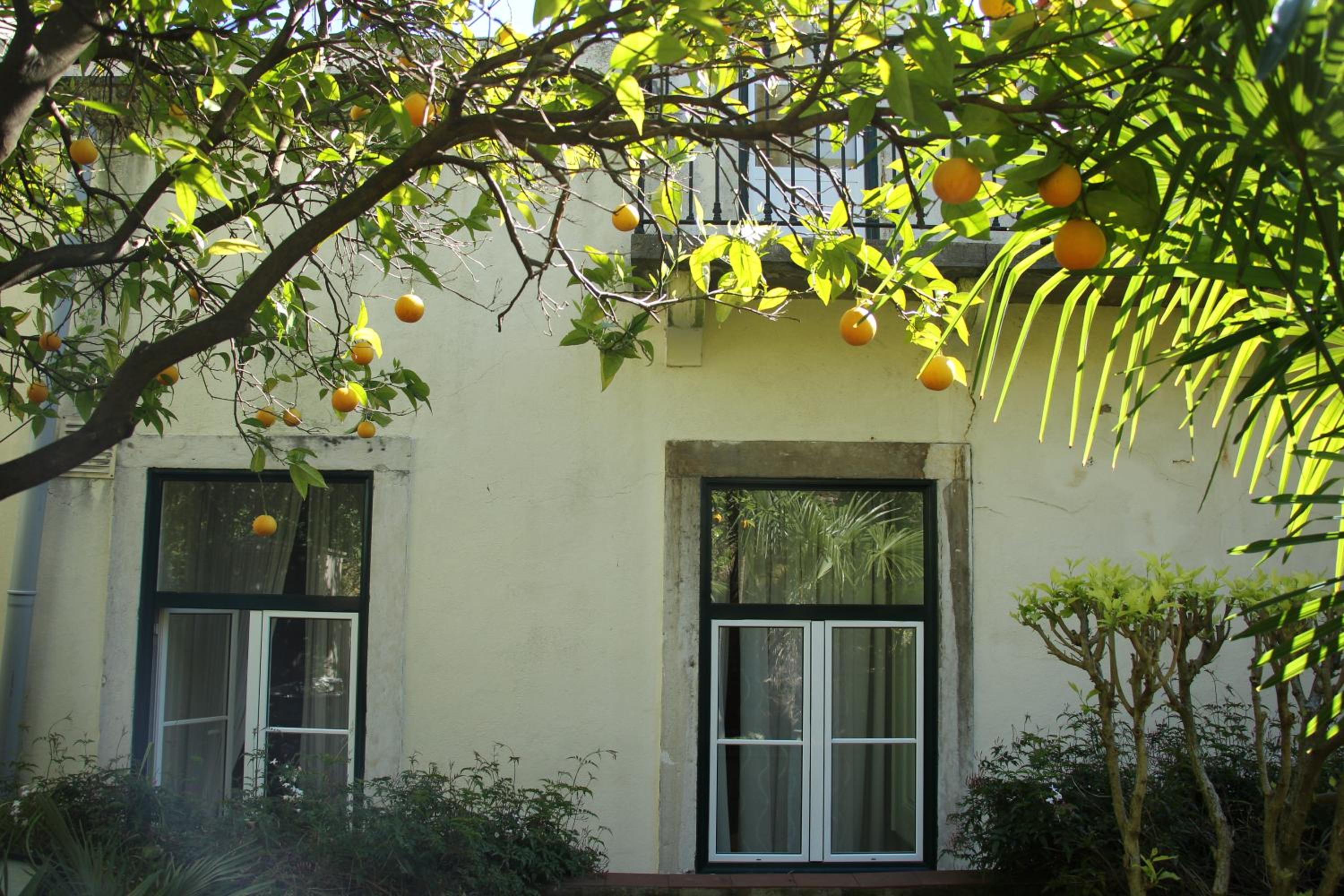Pouso Dos Anjos - Image 2