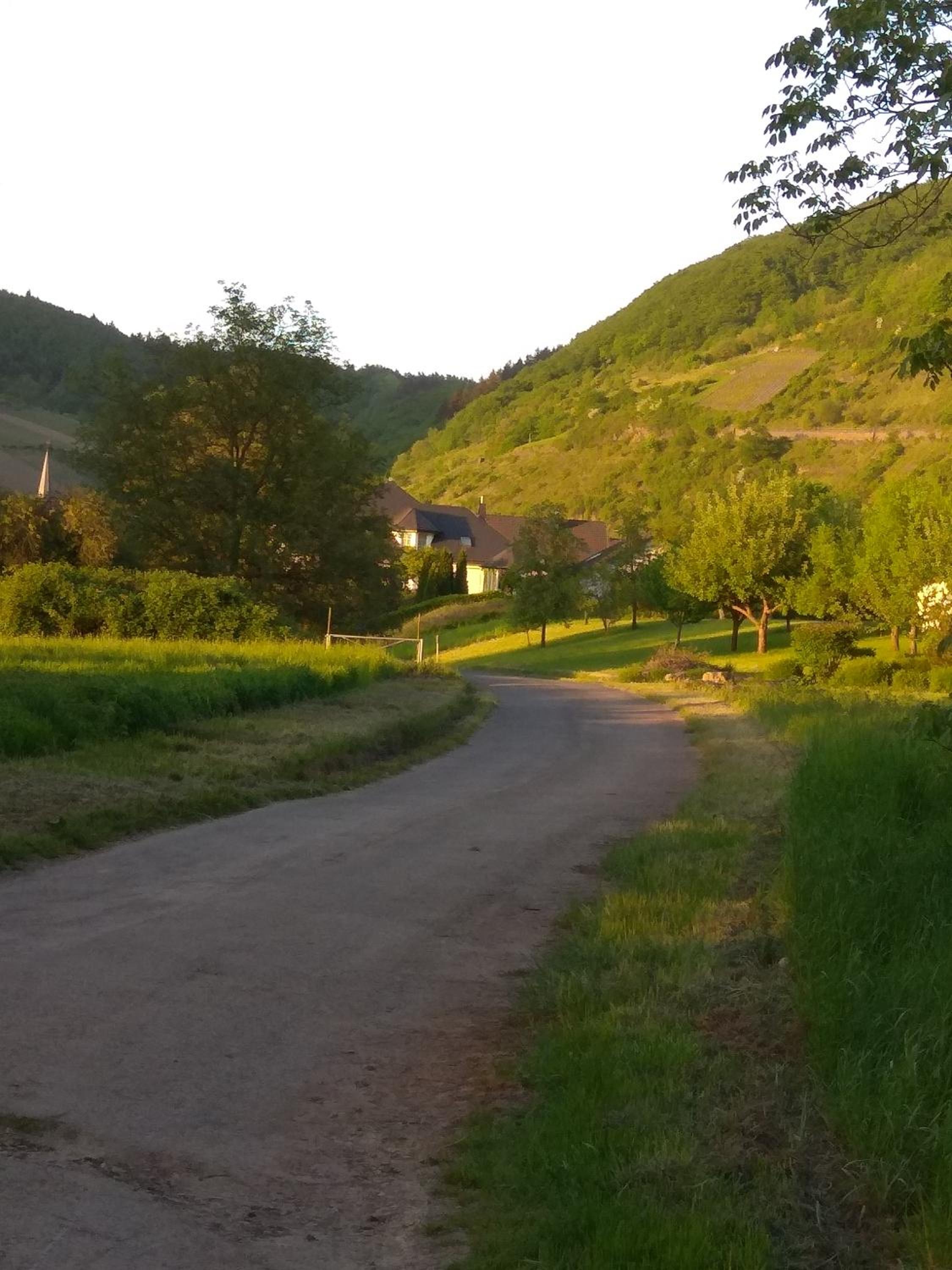 Gästehaus Lavendel an der Mosel view 4