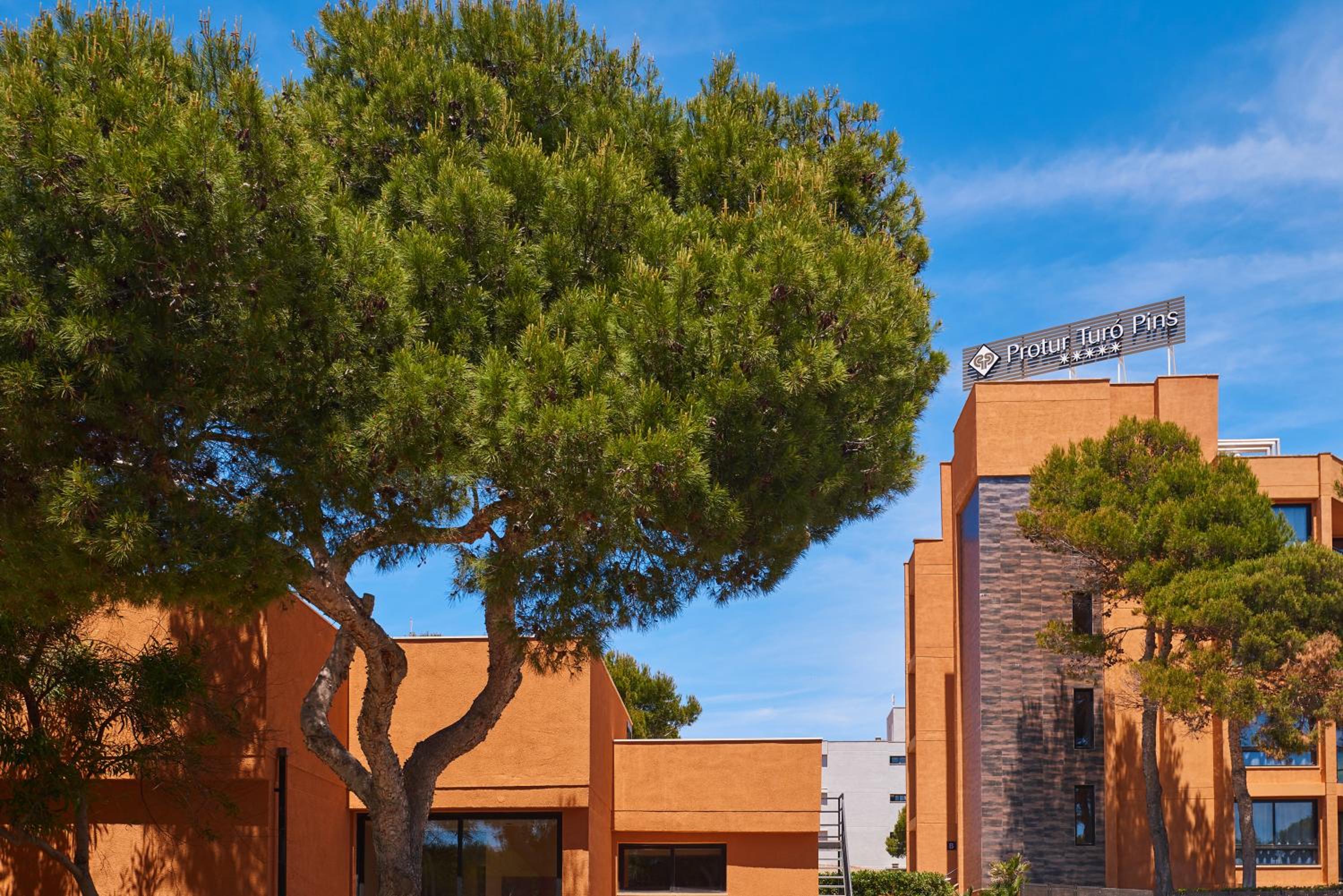 Cala Ratjada Vacations - Protur Turo Pins 4 SUP - Property Image 5