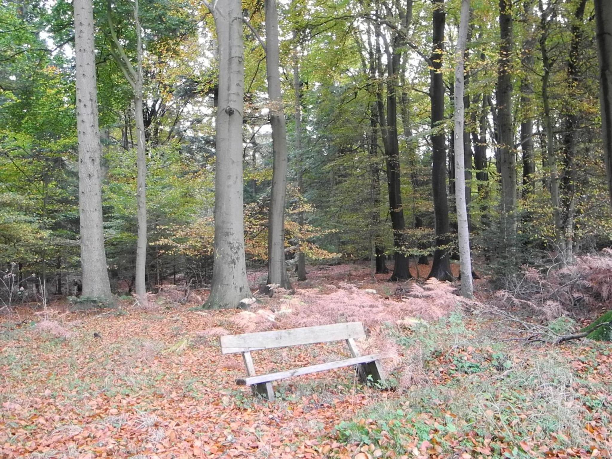 Photo 9