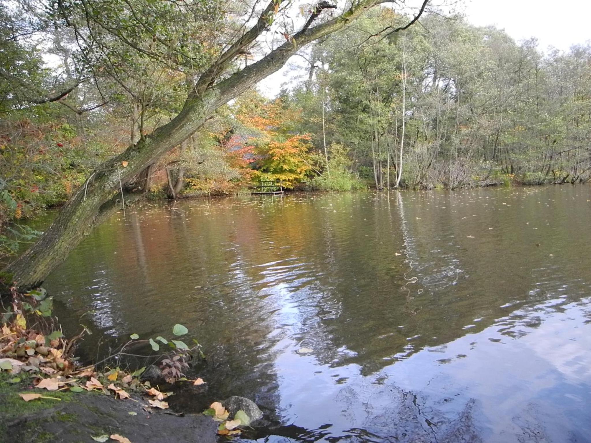 Photo 12