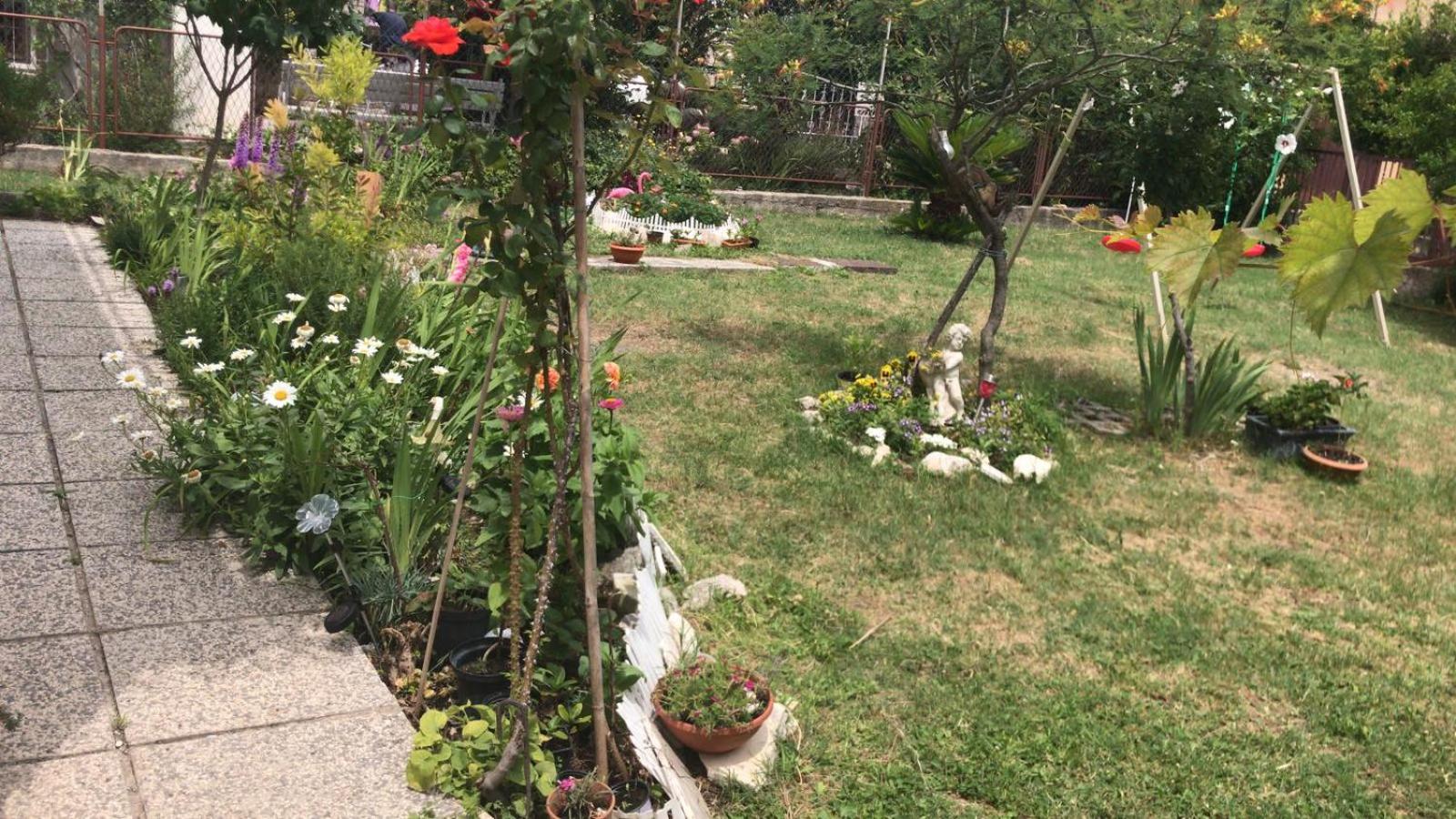 Apartman Mila view 5