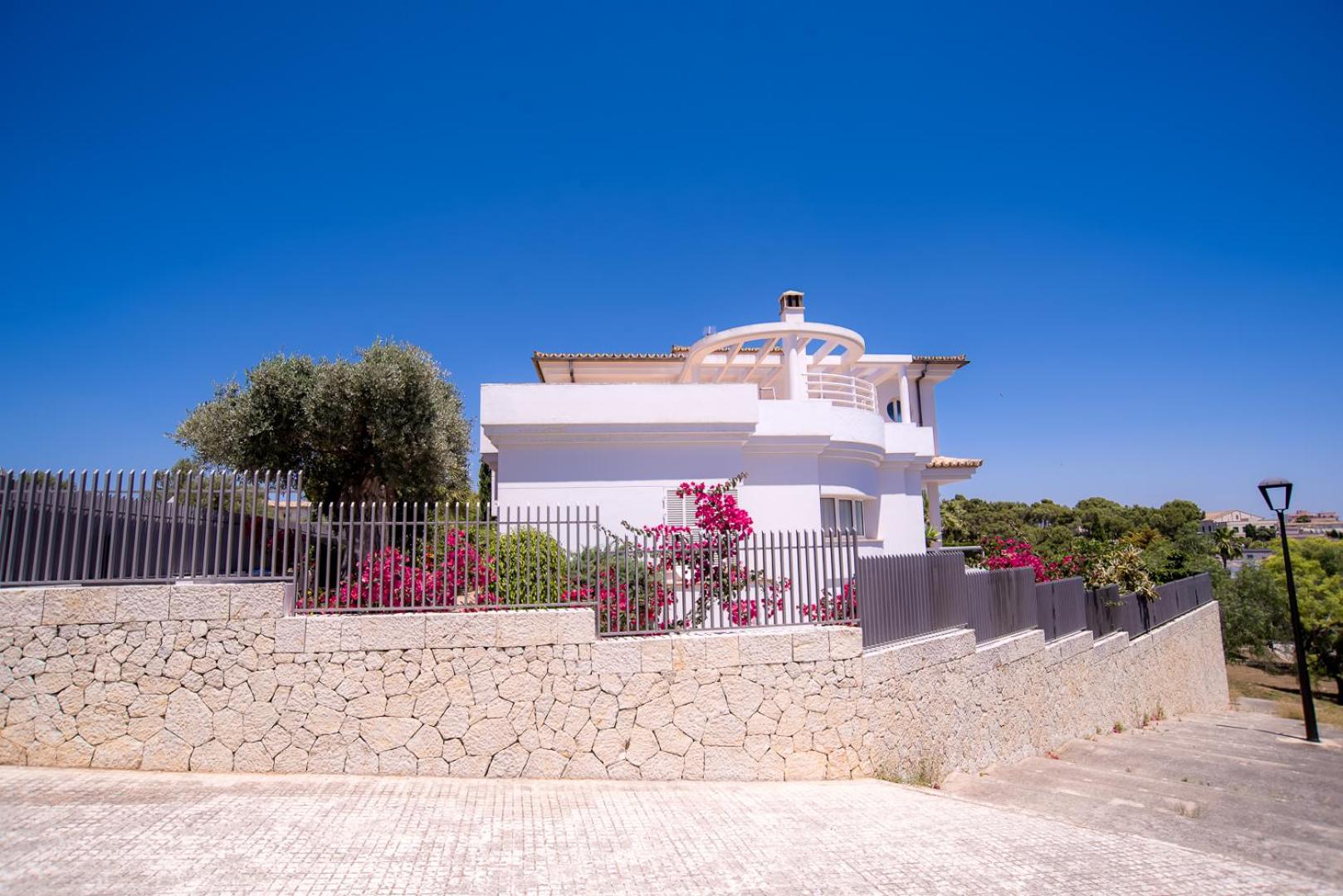 Photo 7