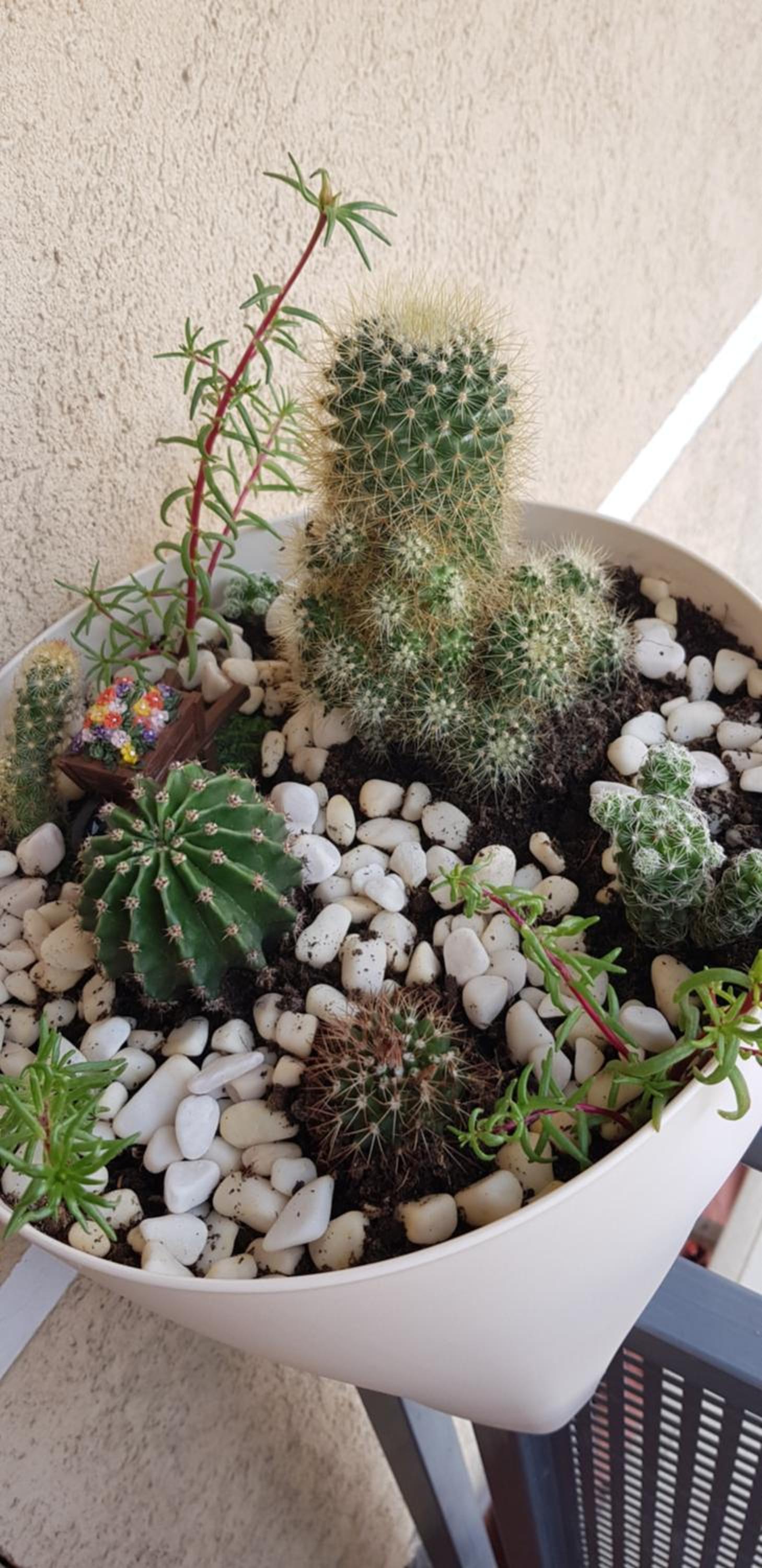 Photo 56