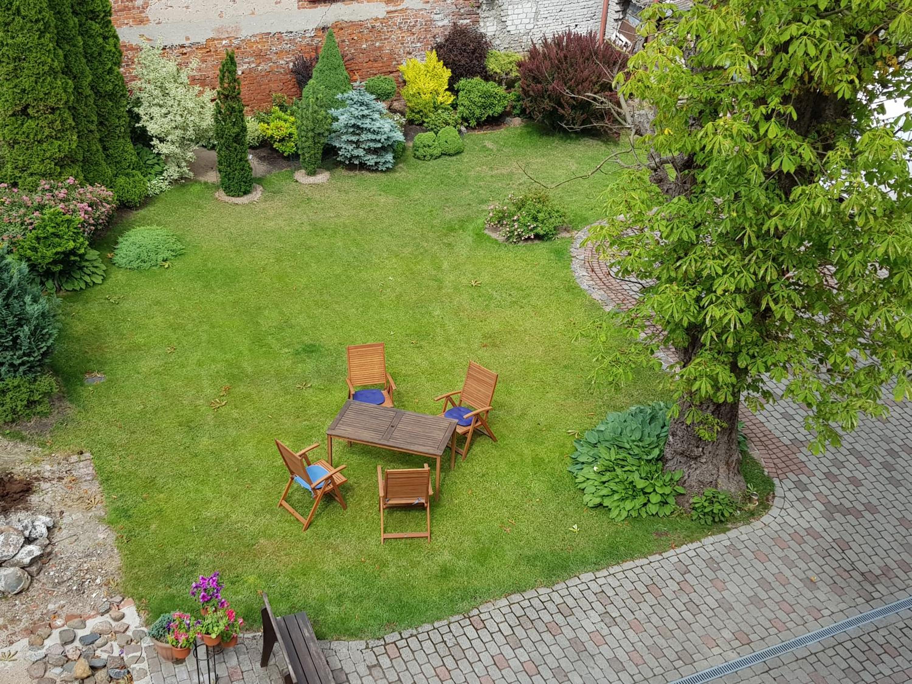 garden