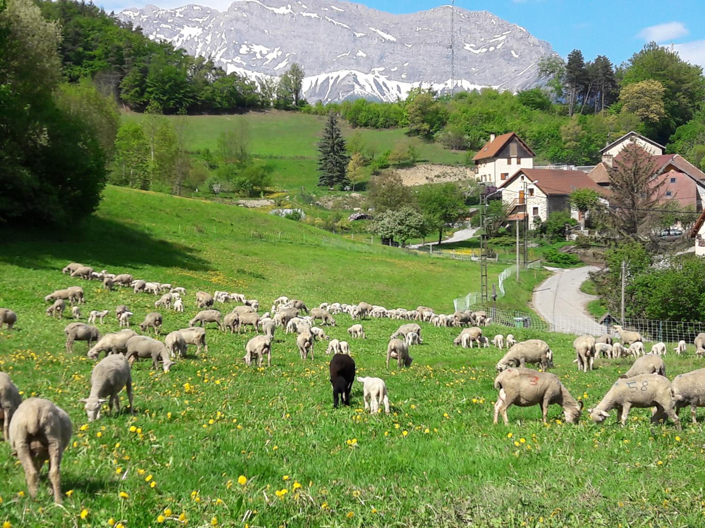 Chambres d'hotes Les Clarines