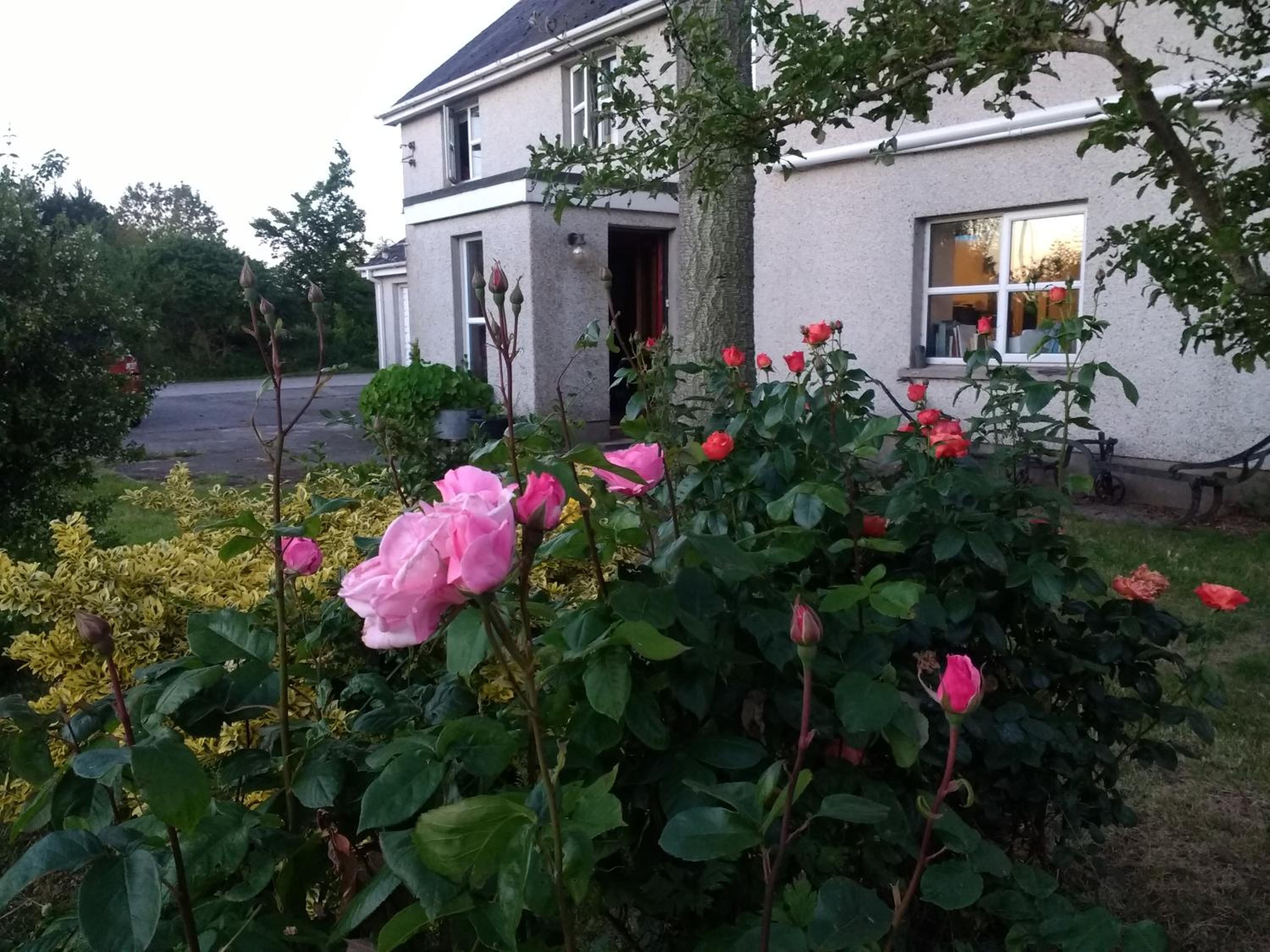 Lisieux House on Lough Neagh