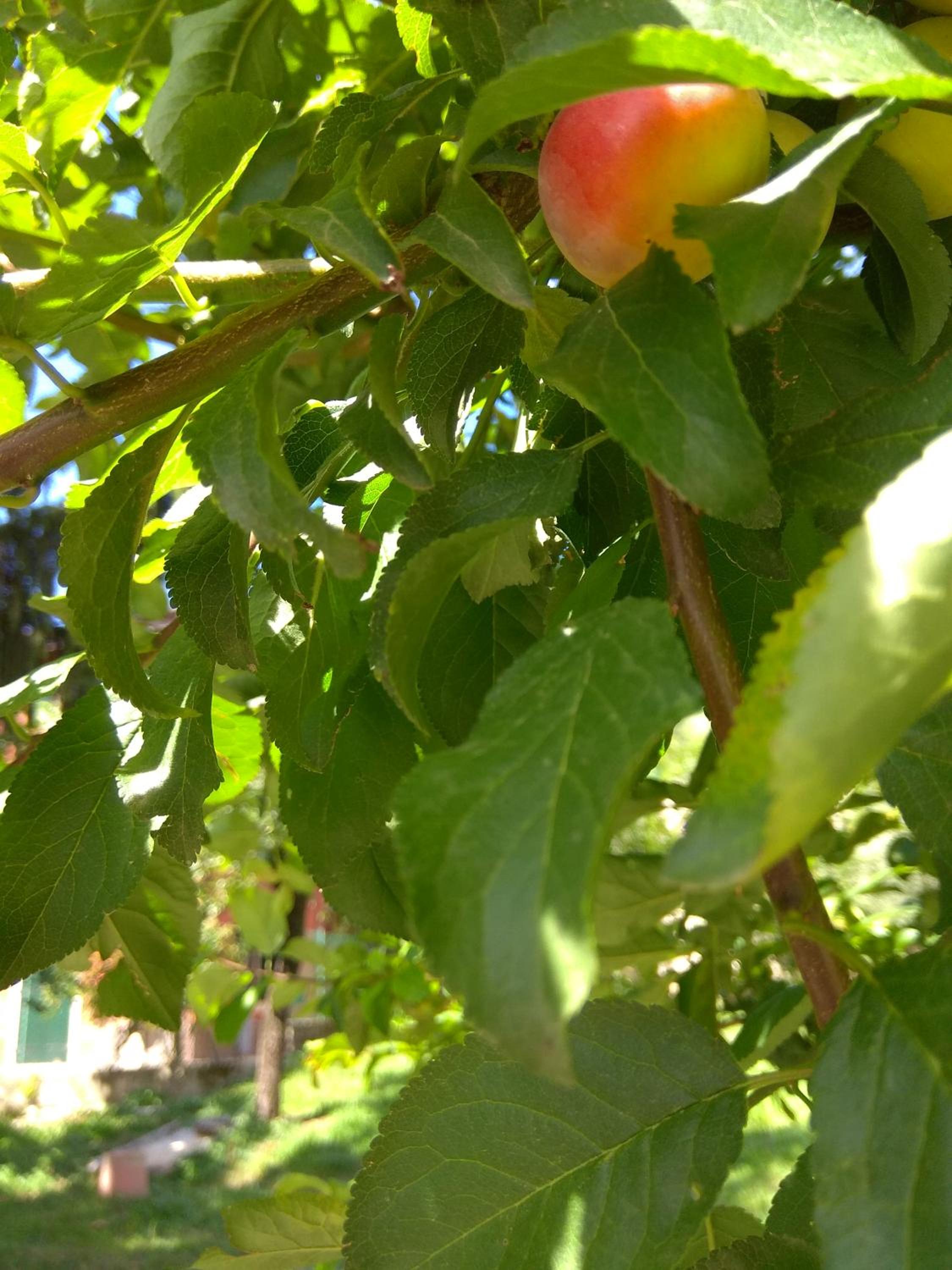 Photo 47
