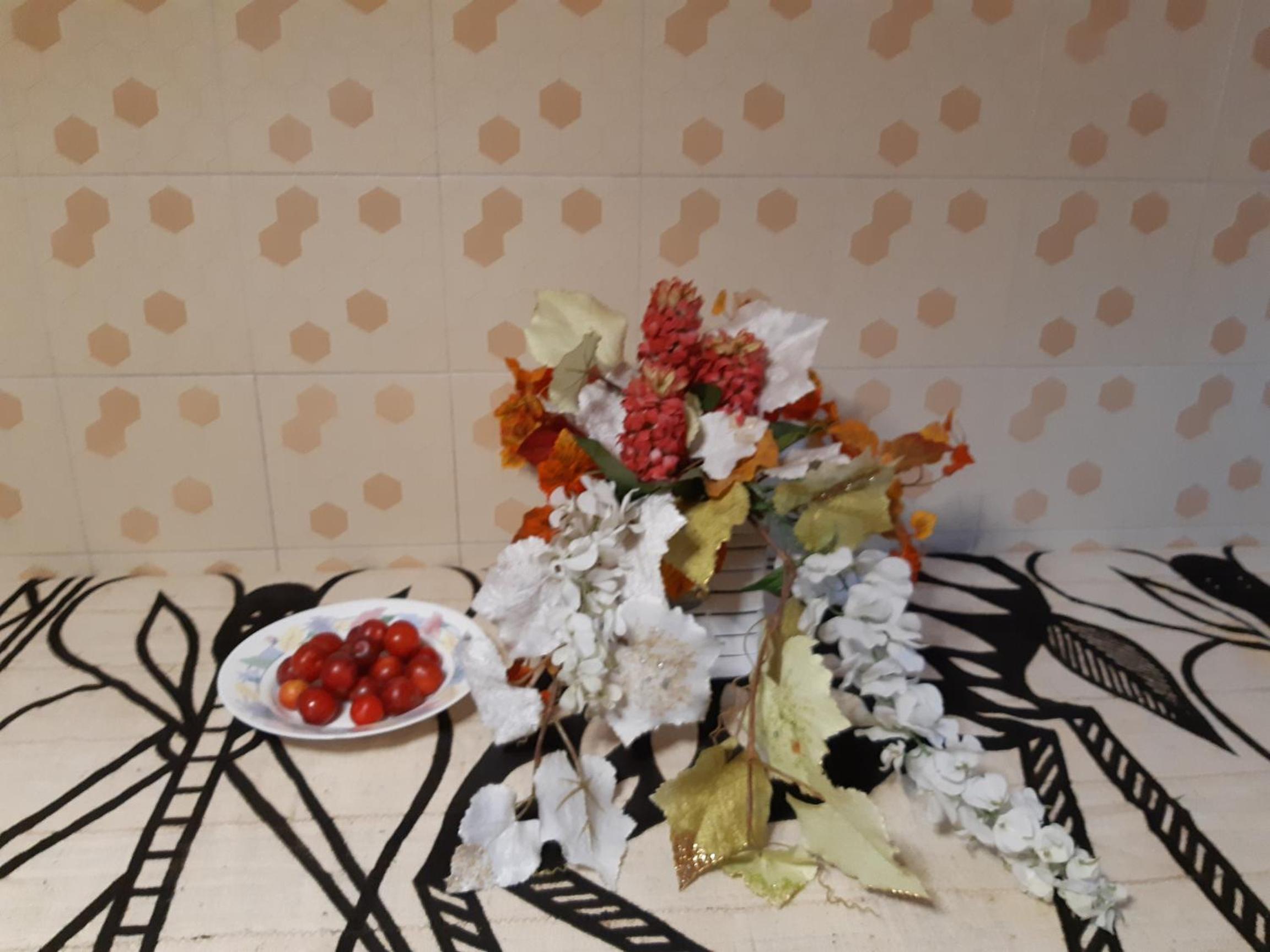 bed and breakfast IMOLA photo 3