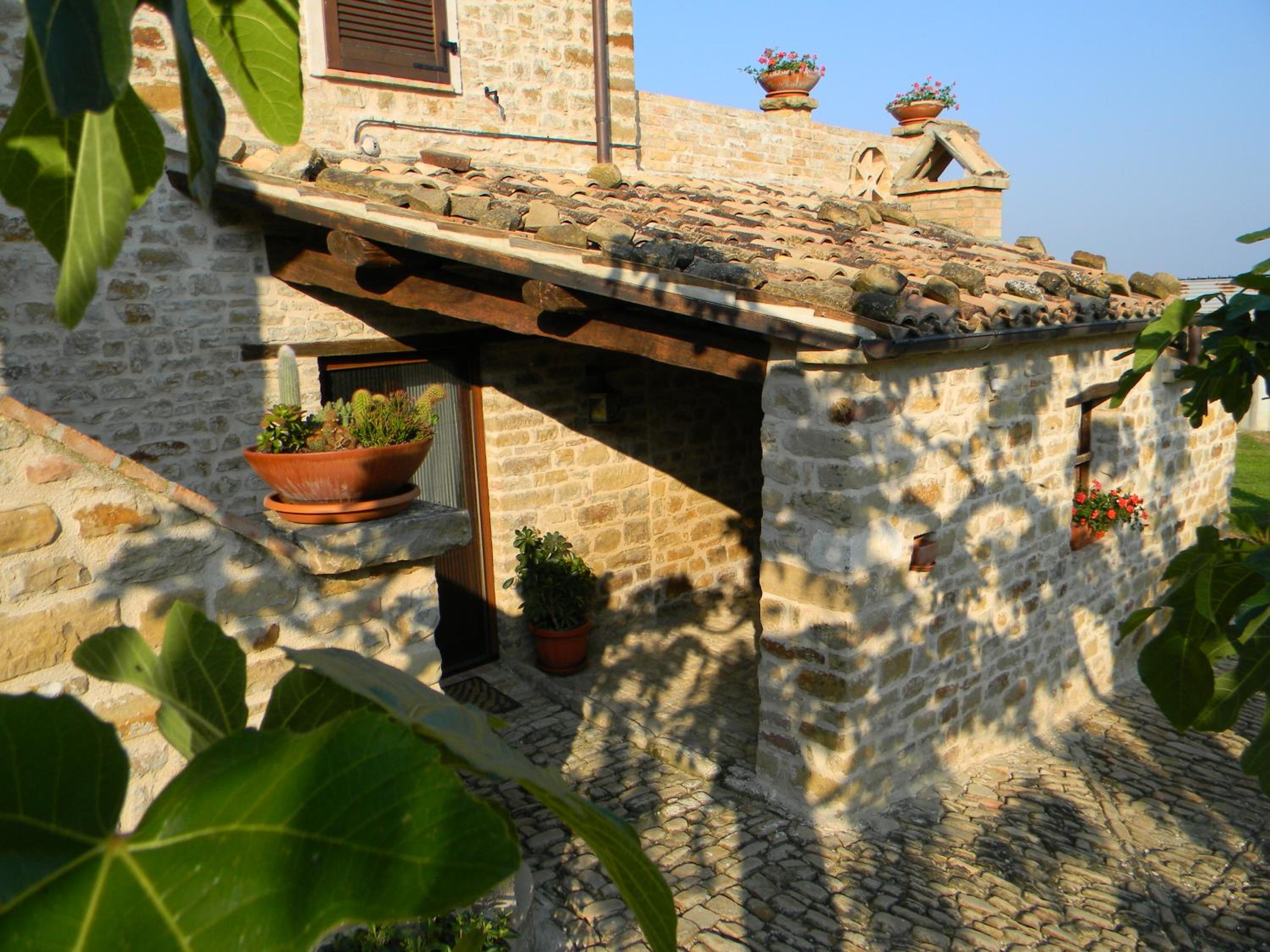 Photo 19