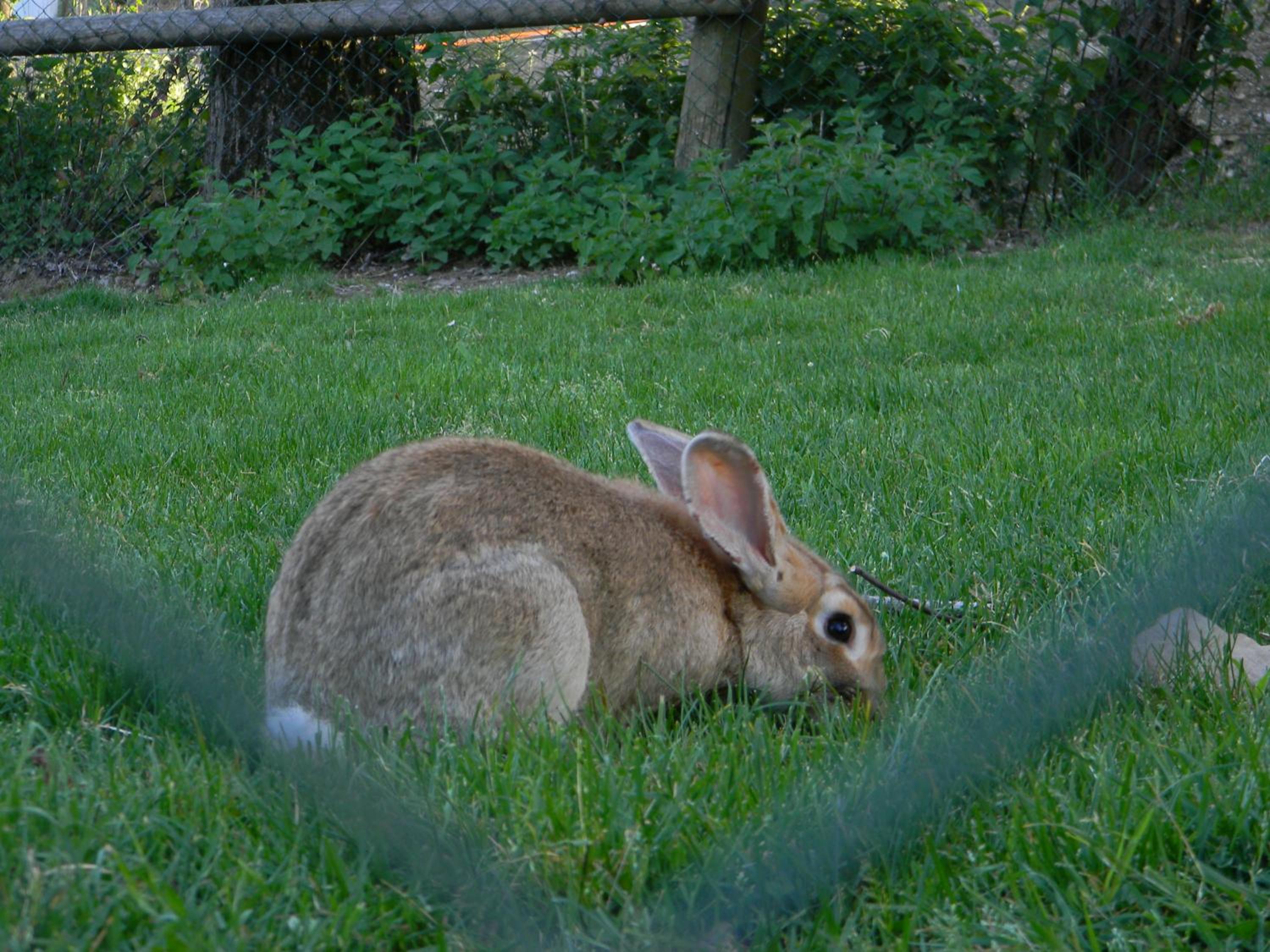 Photo 33