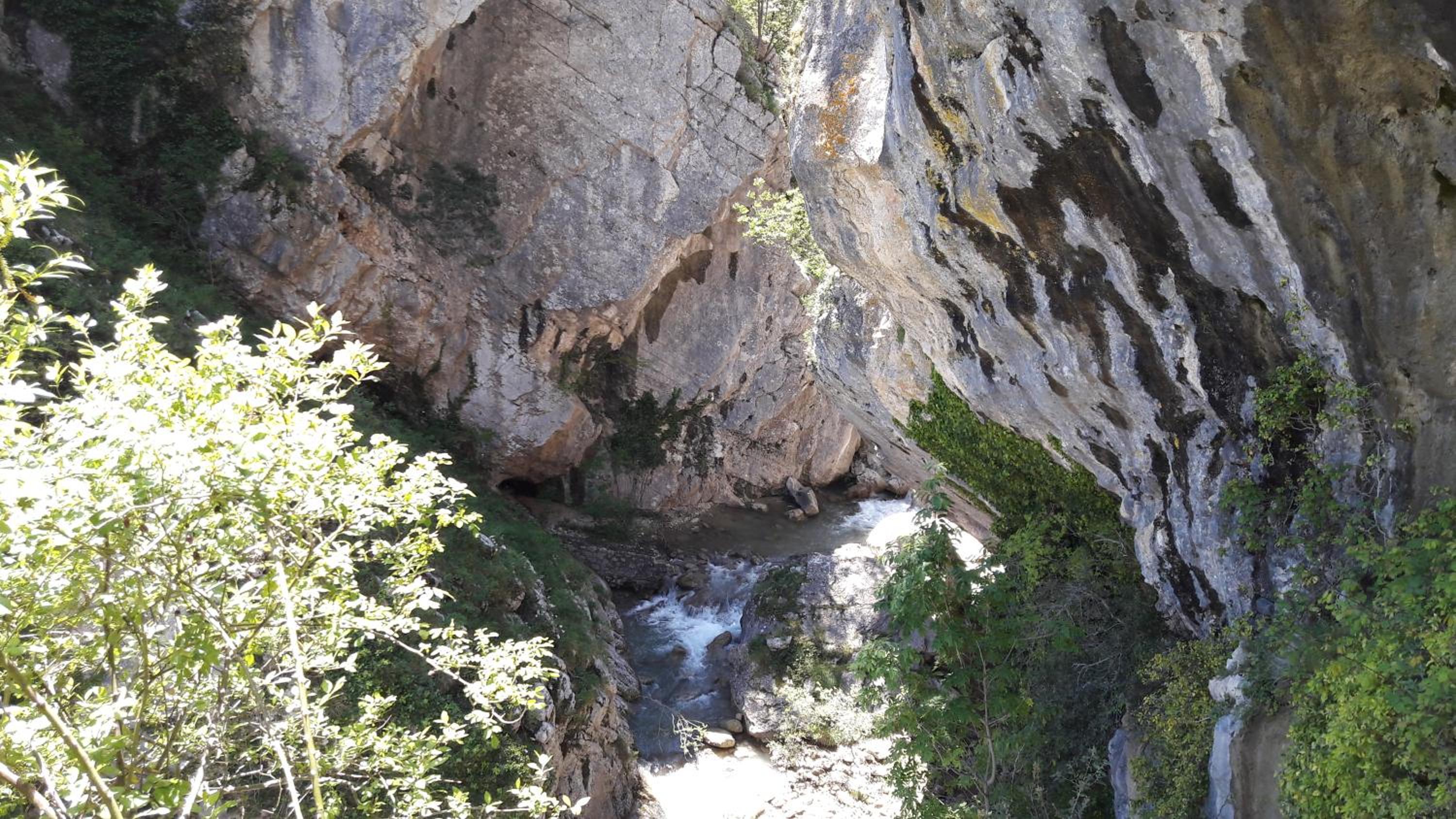 Photo 48