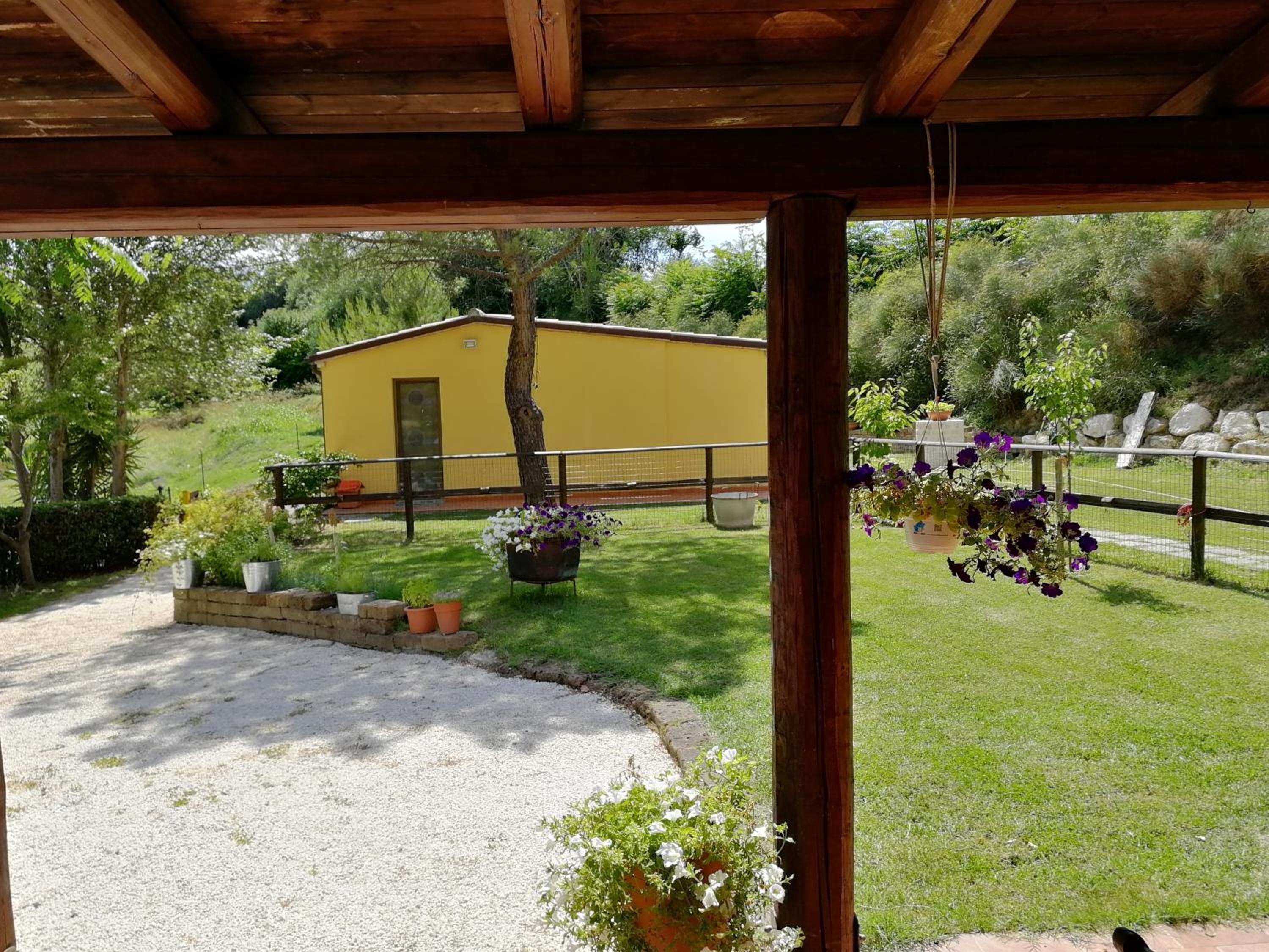 Photo 16