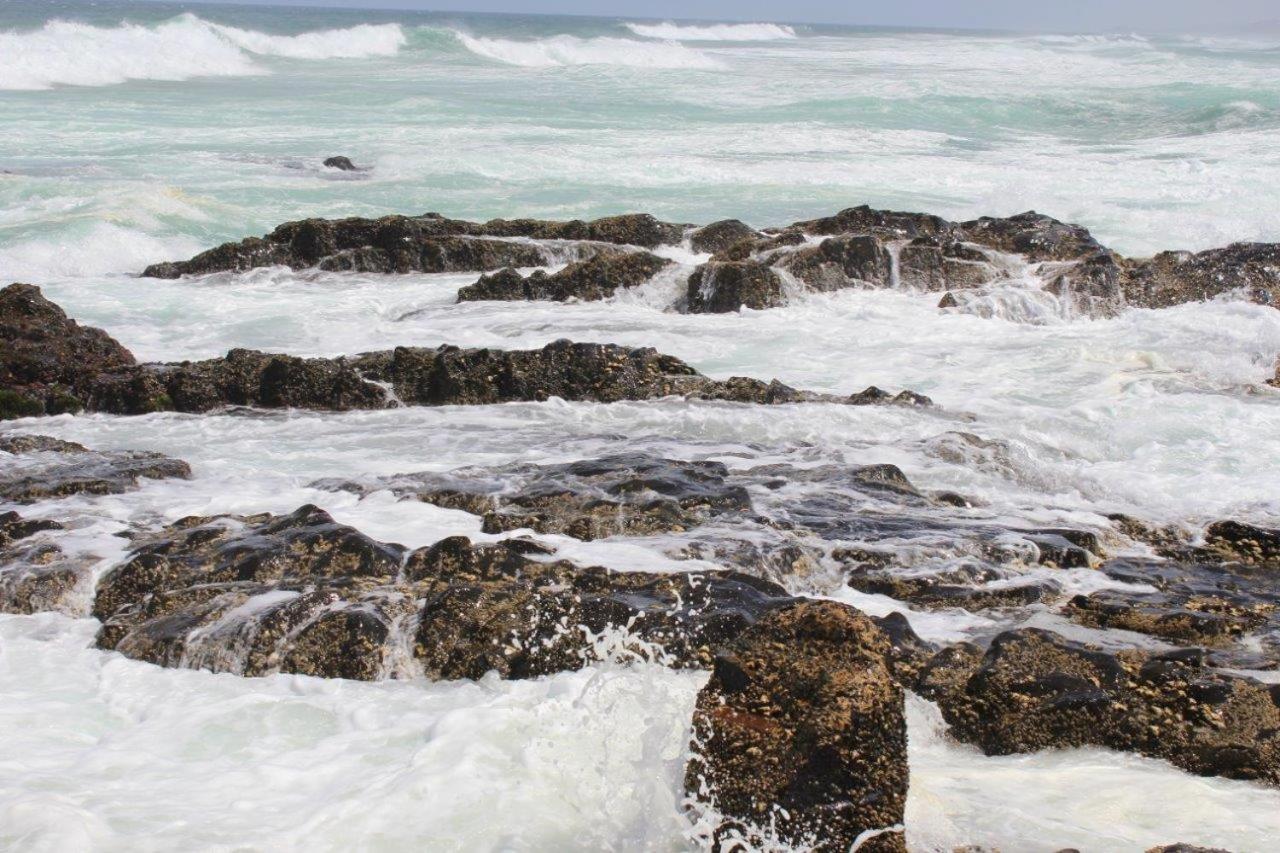 Sea Wave Holidays - Stella Maris view 4