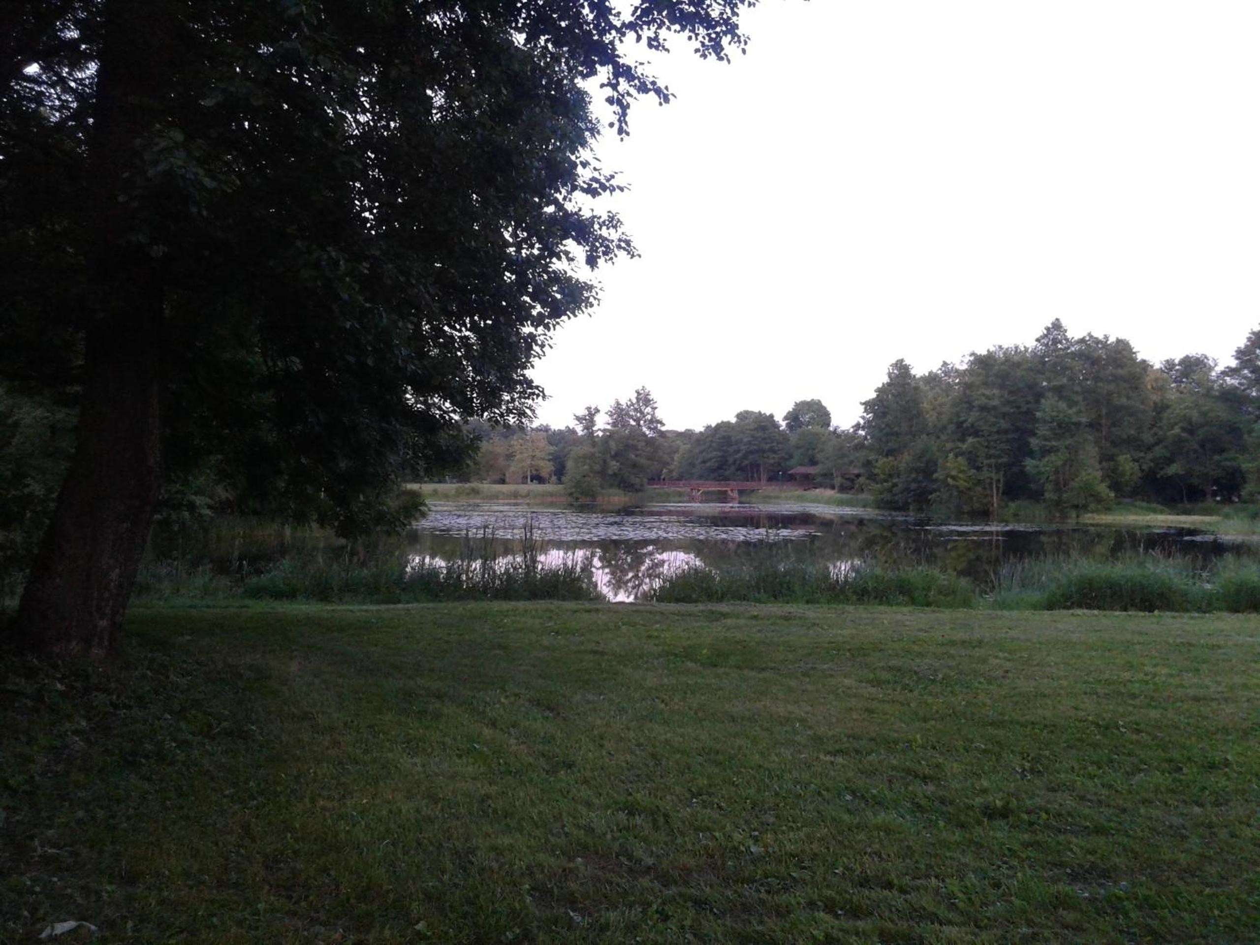 Photo 26