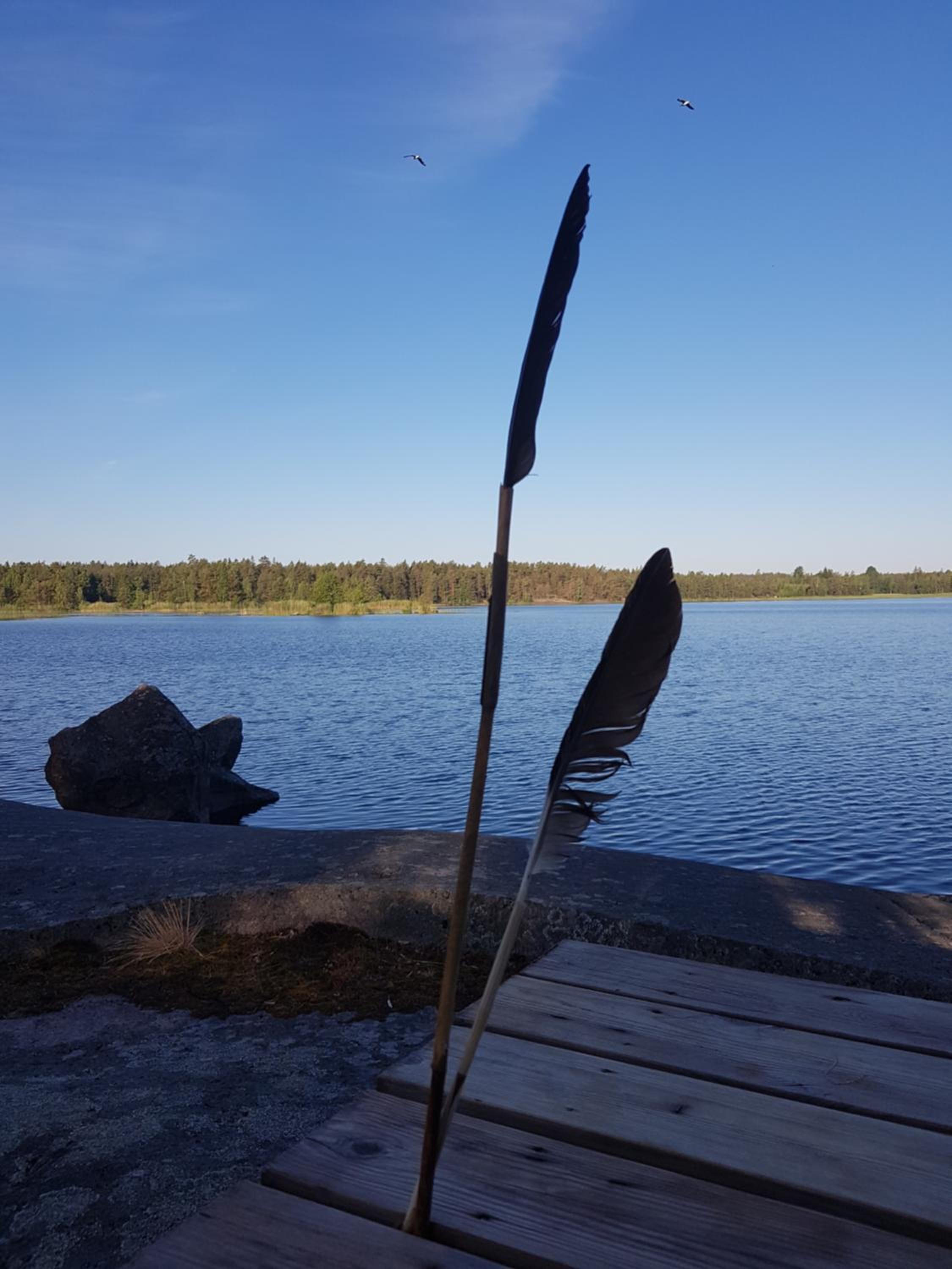 Photo 19