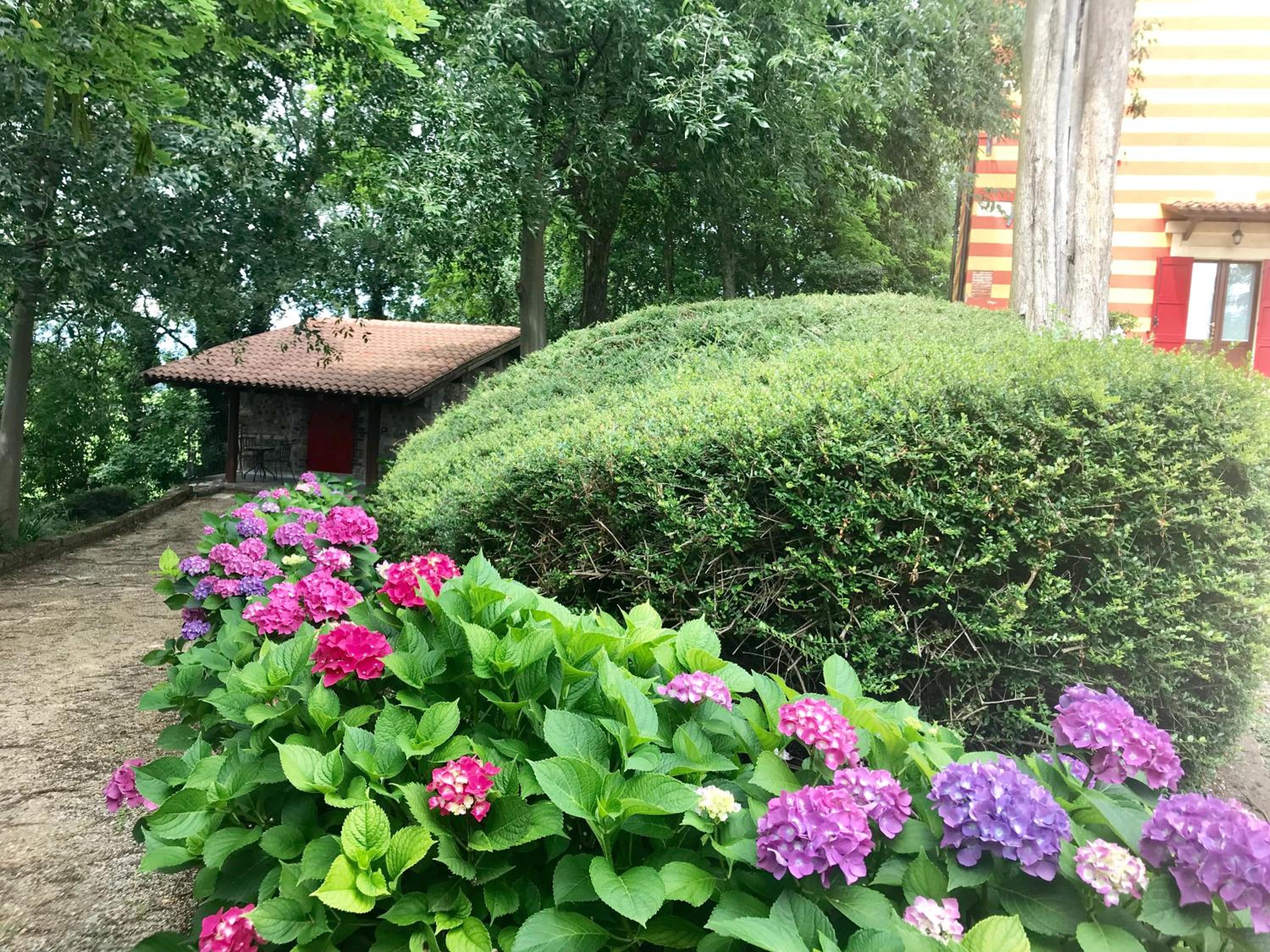 Photo 25