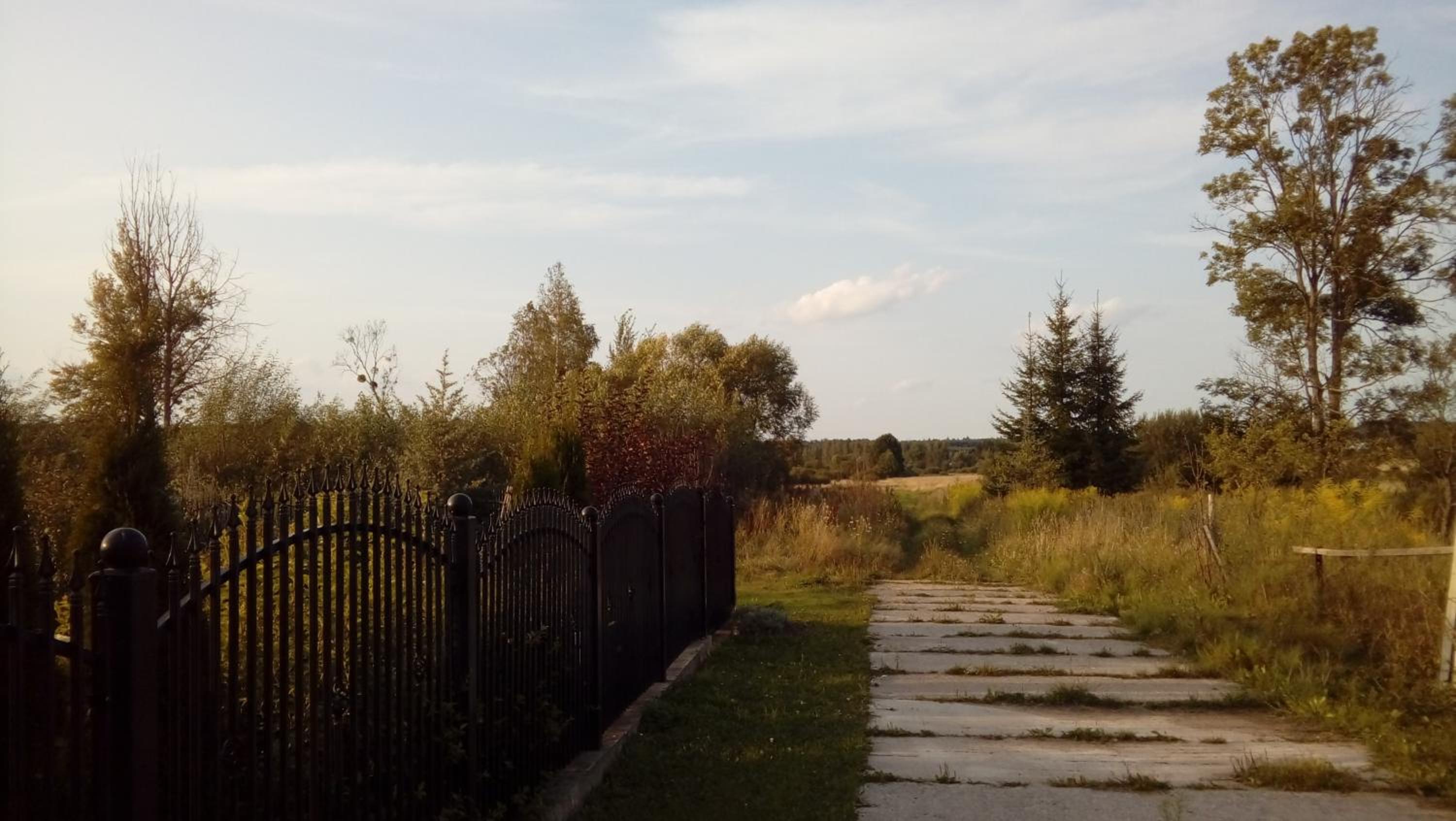 Photo 61