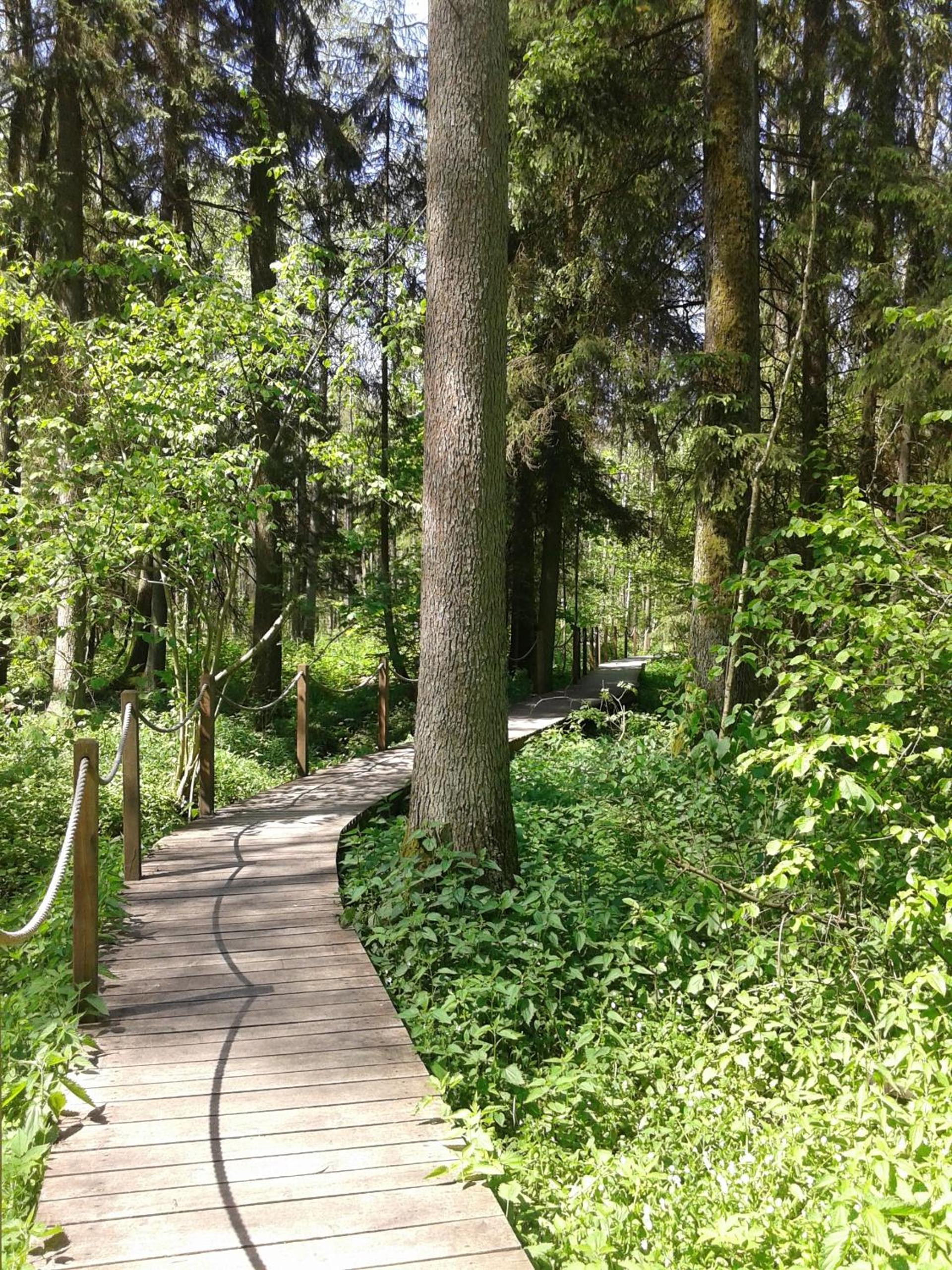 Photo 22