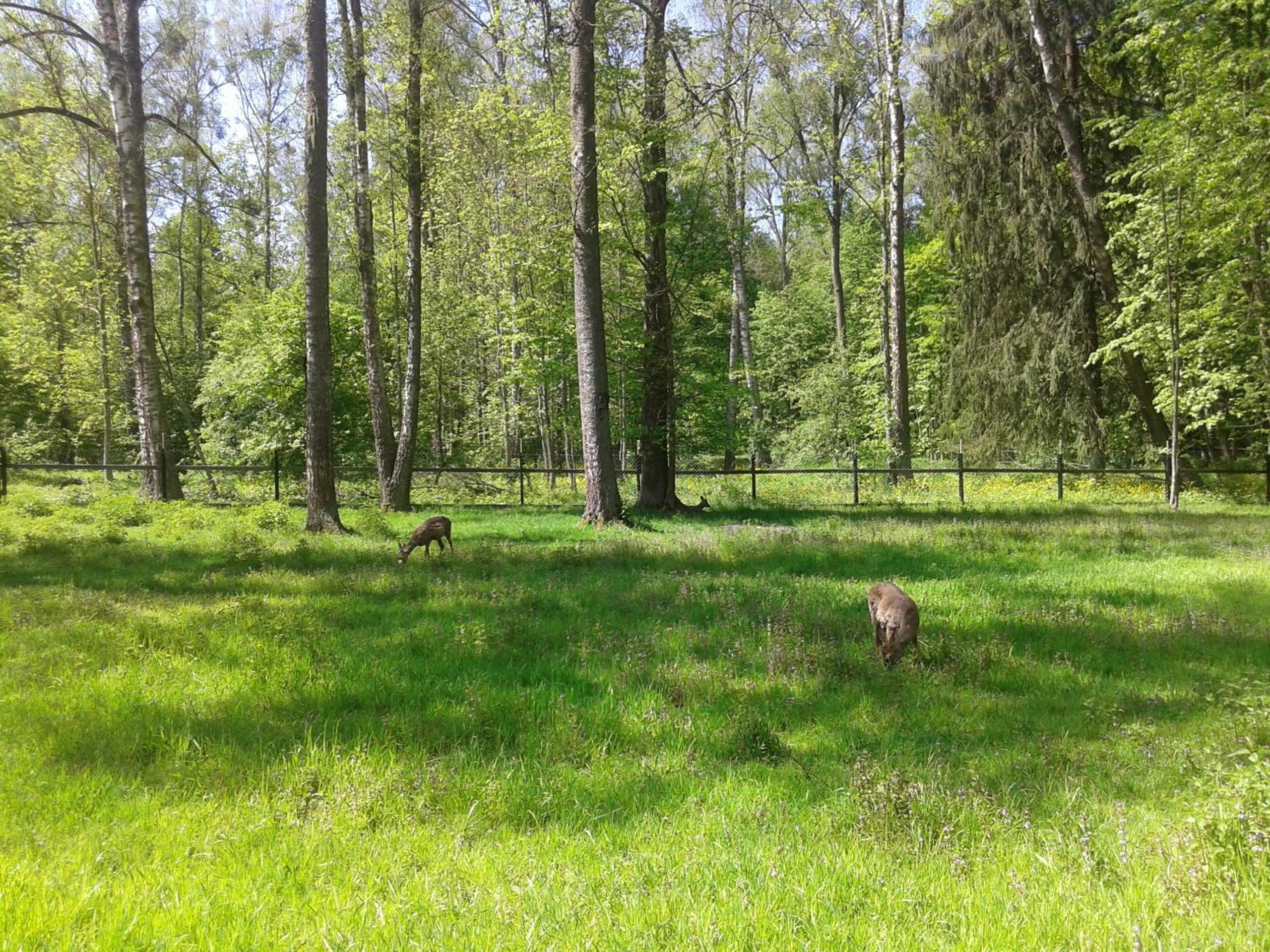 Photo 24