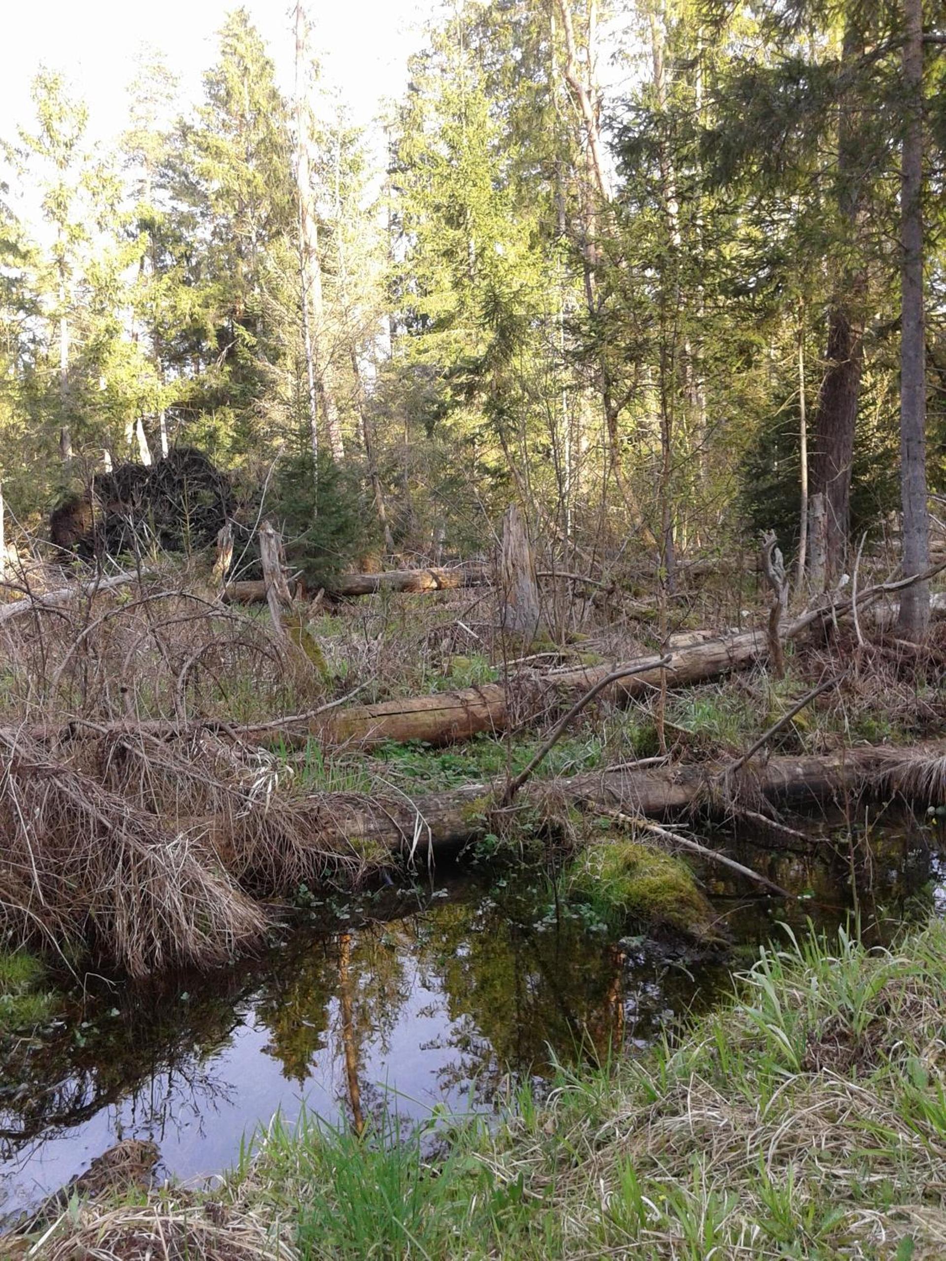 Photo 20