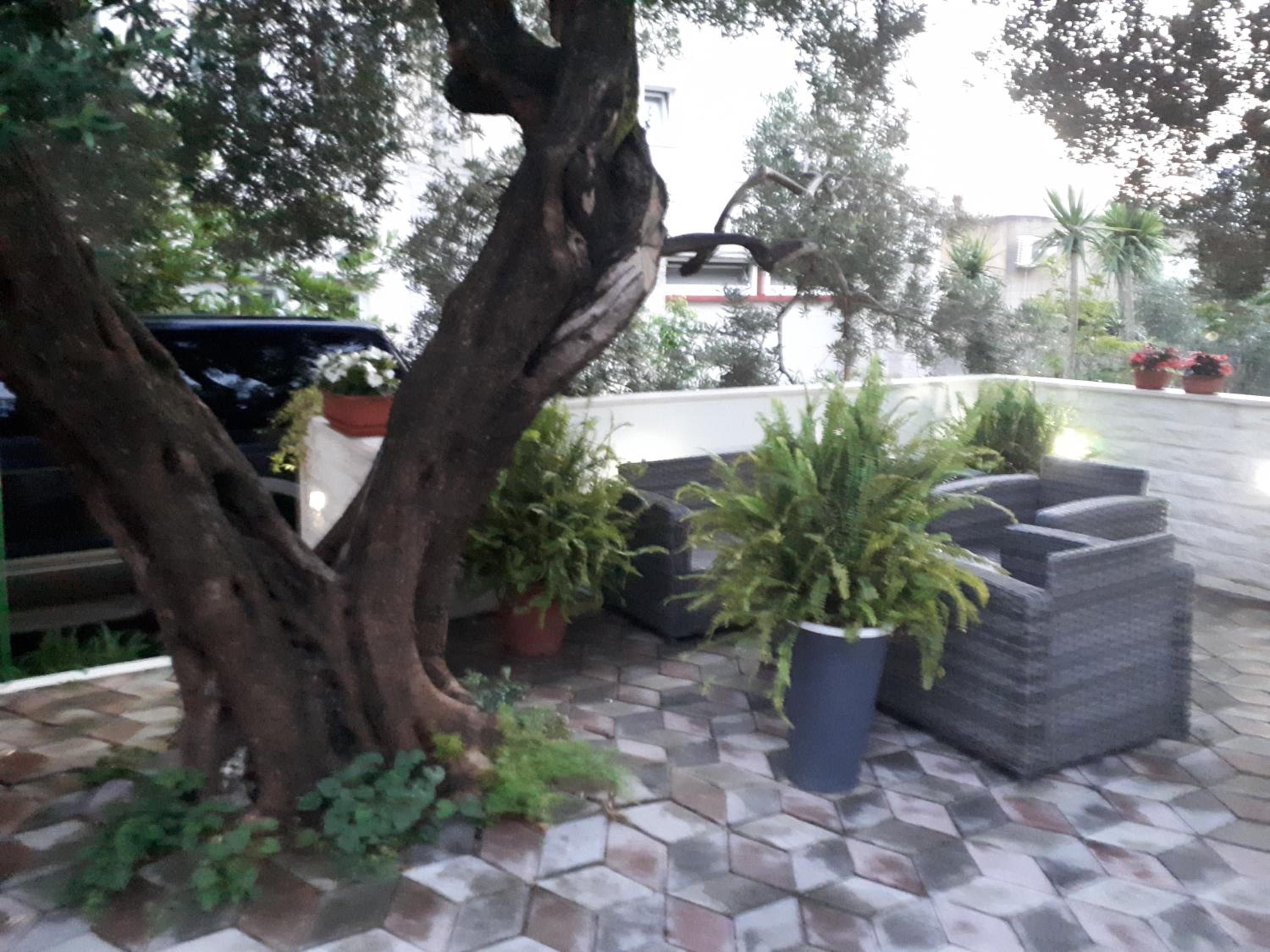 Apartments Ella view 2