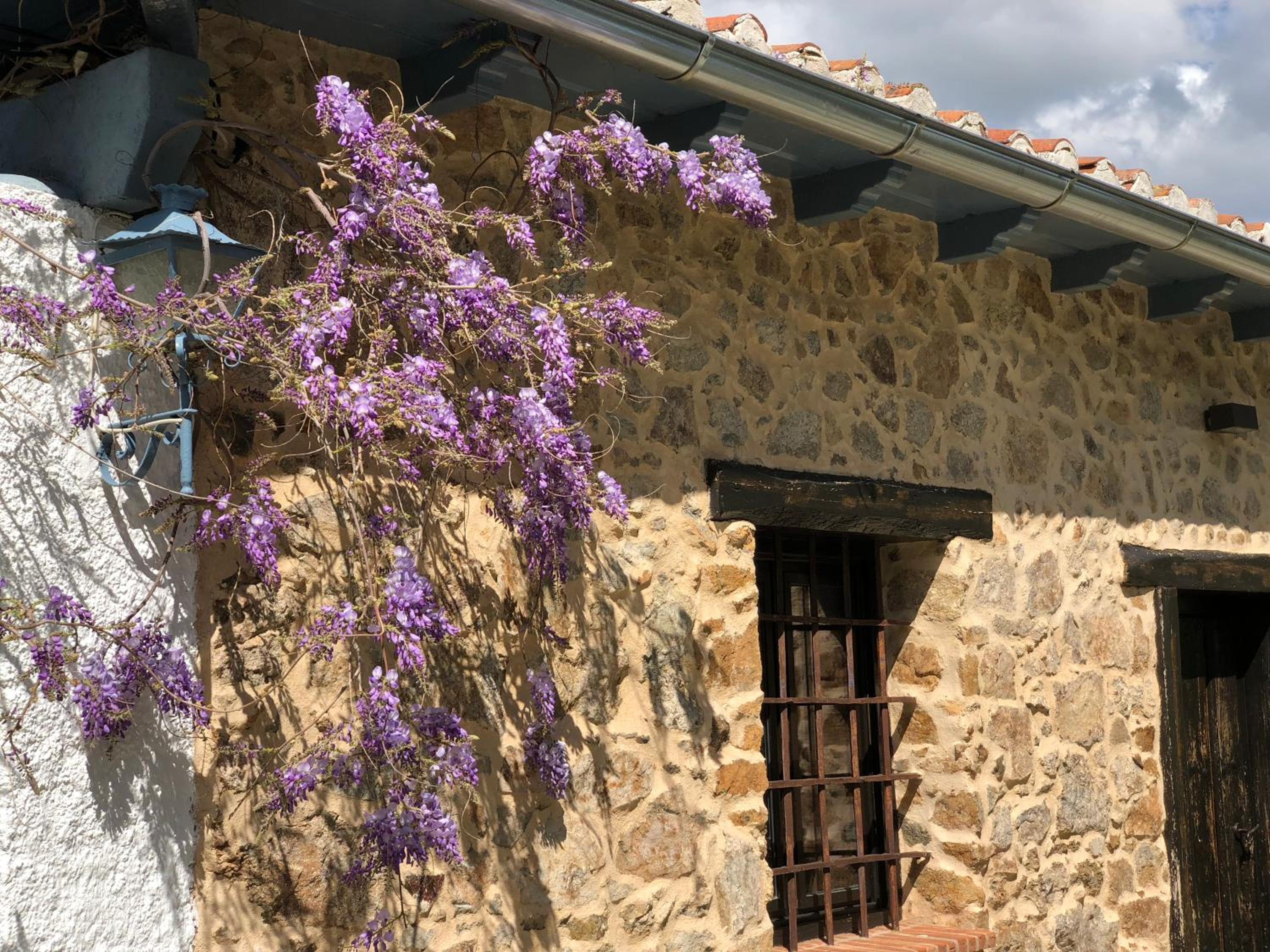 La Casita Del Castañar view 3