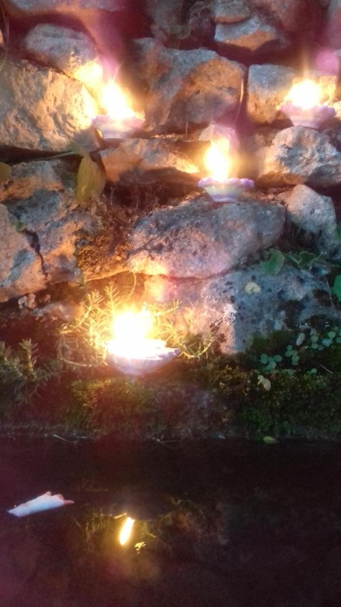 Photo 33