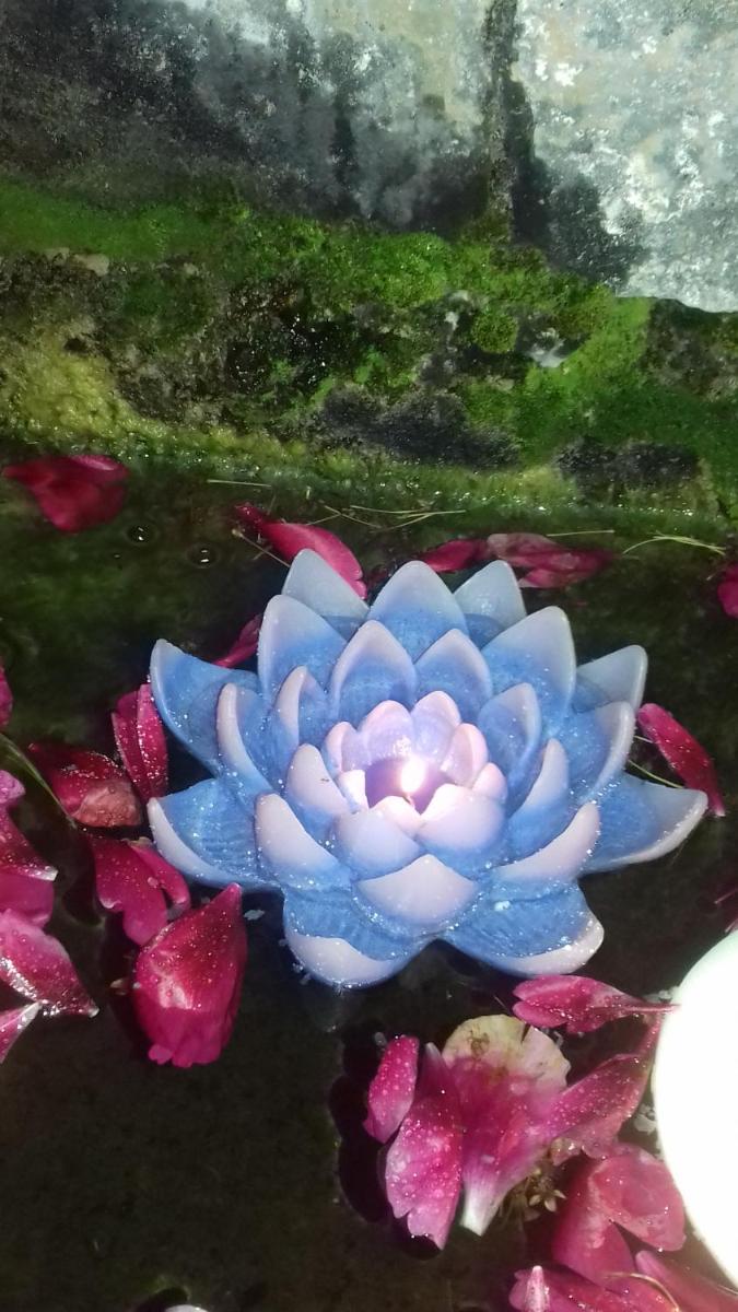 Photo 31