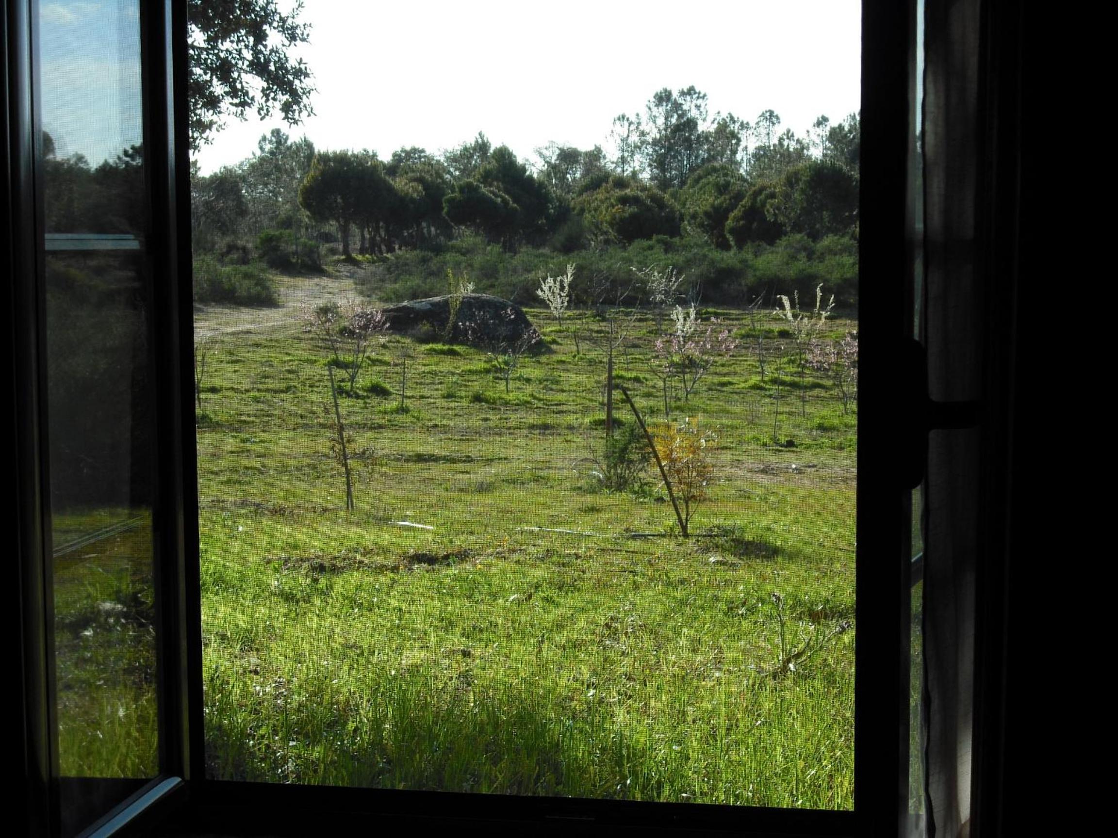Photo 41