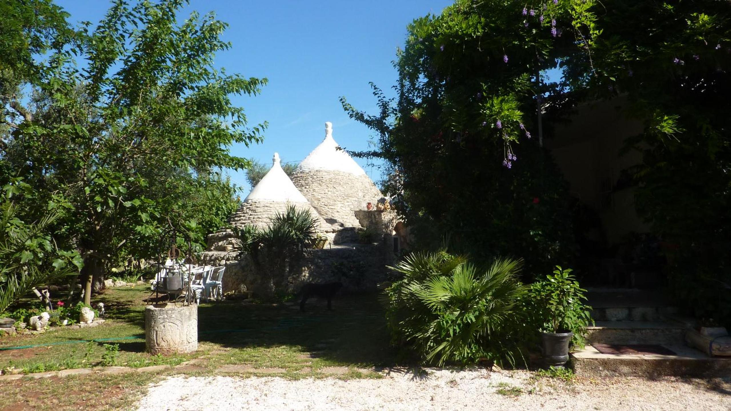 Photo 40