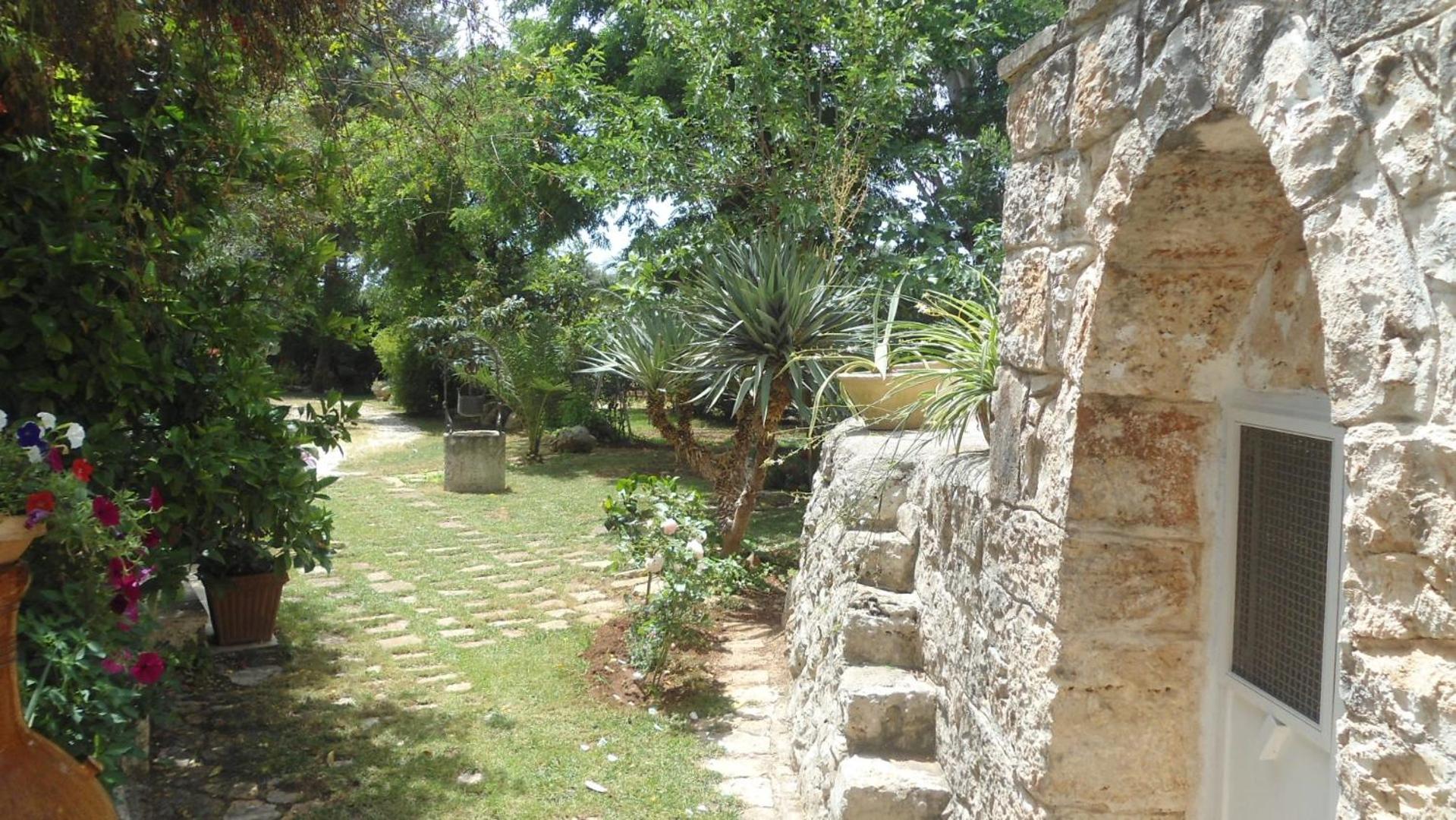 Photo 41