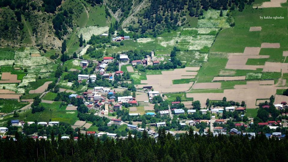 Photo 44